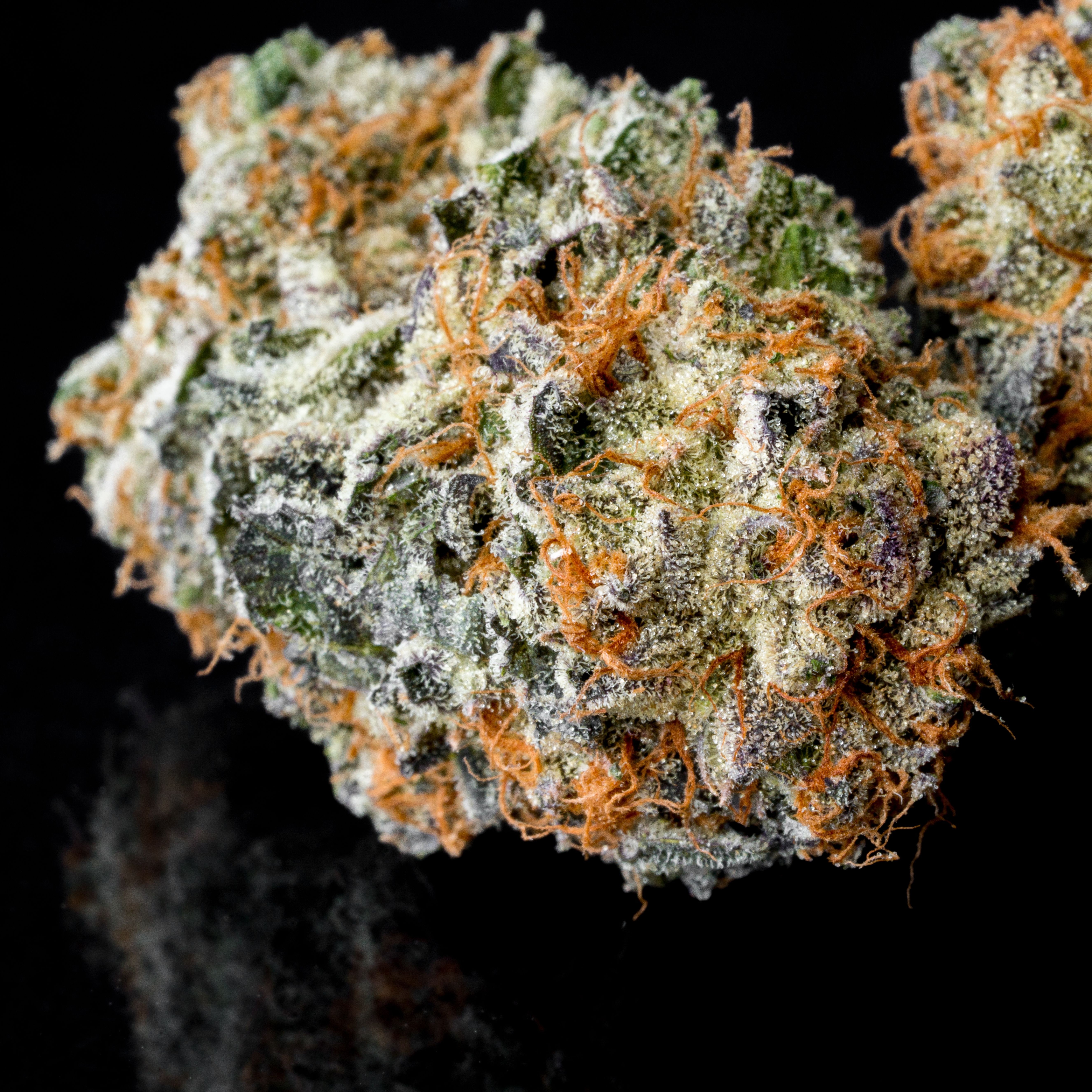 Crypto Cookies Strain Leafly - dfffuh0