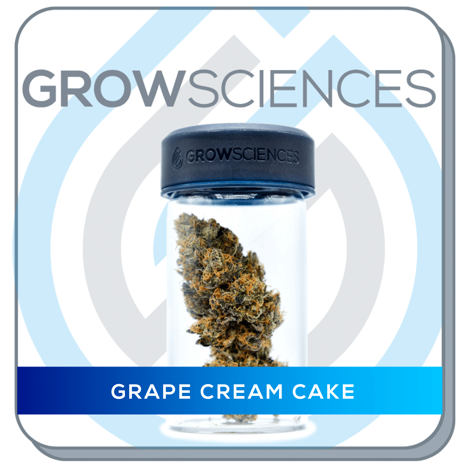 Grow Sciences Grape Cream Cake Leafly