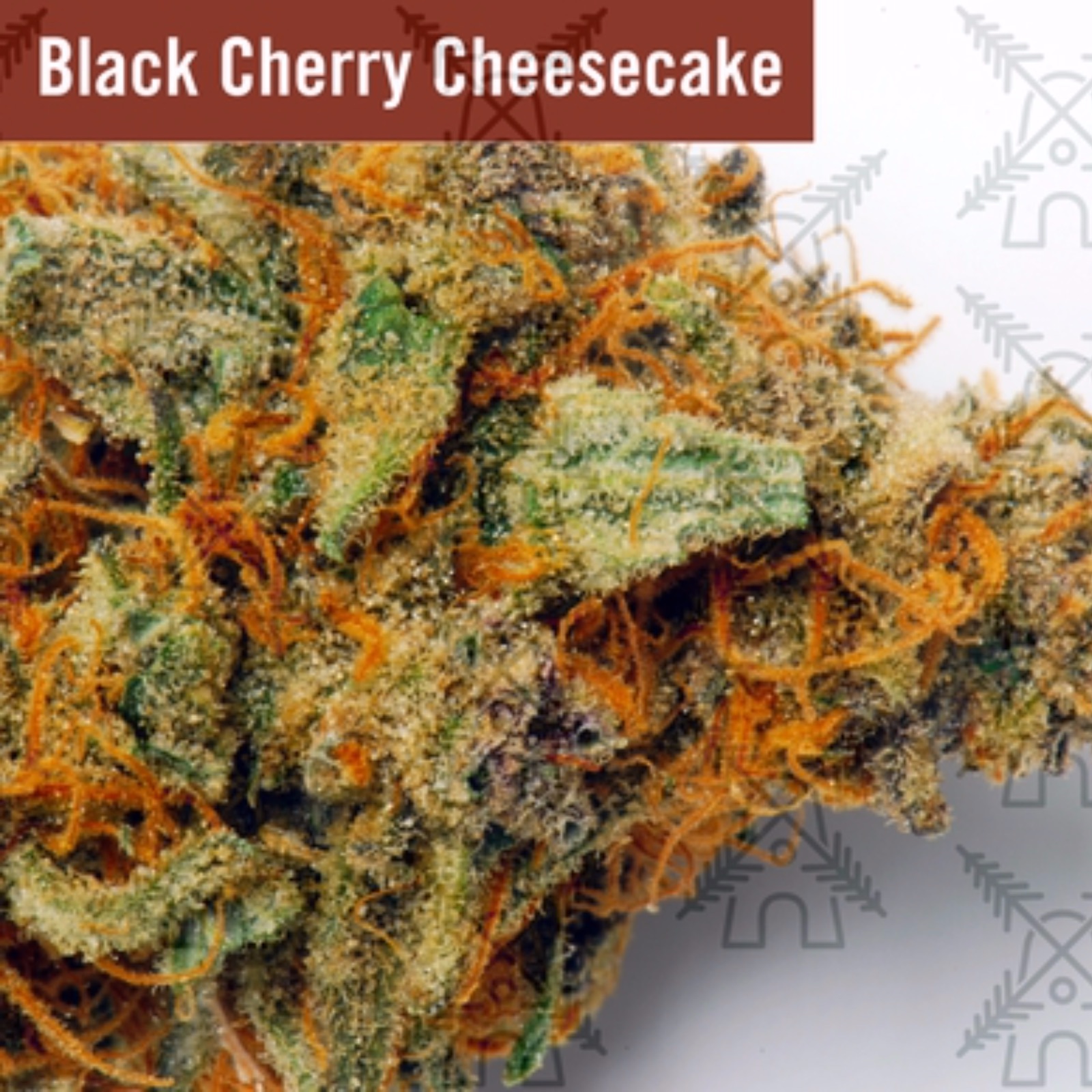 Dutch Valley Farms Black Cherry Cheesecake Leafly