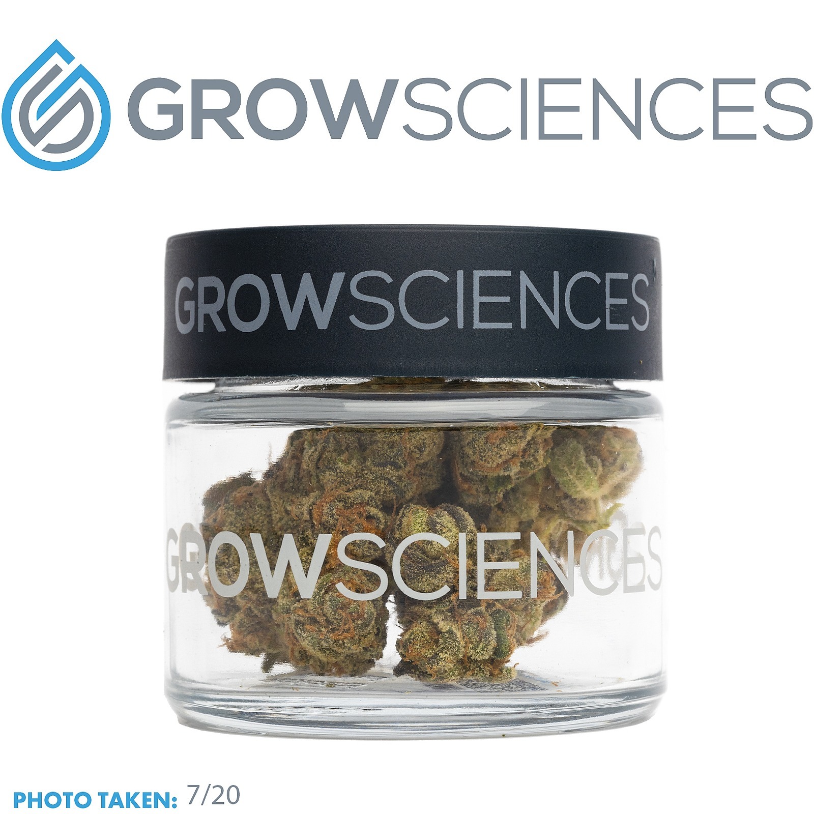 Grow Sciences Grape Gas (3.7) Leafly