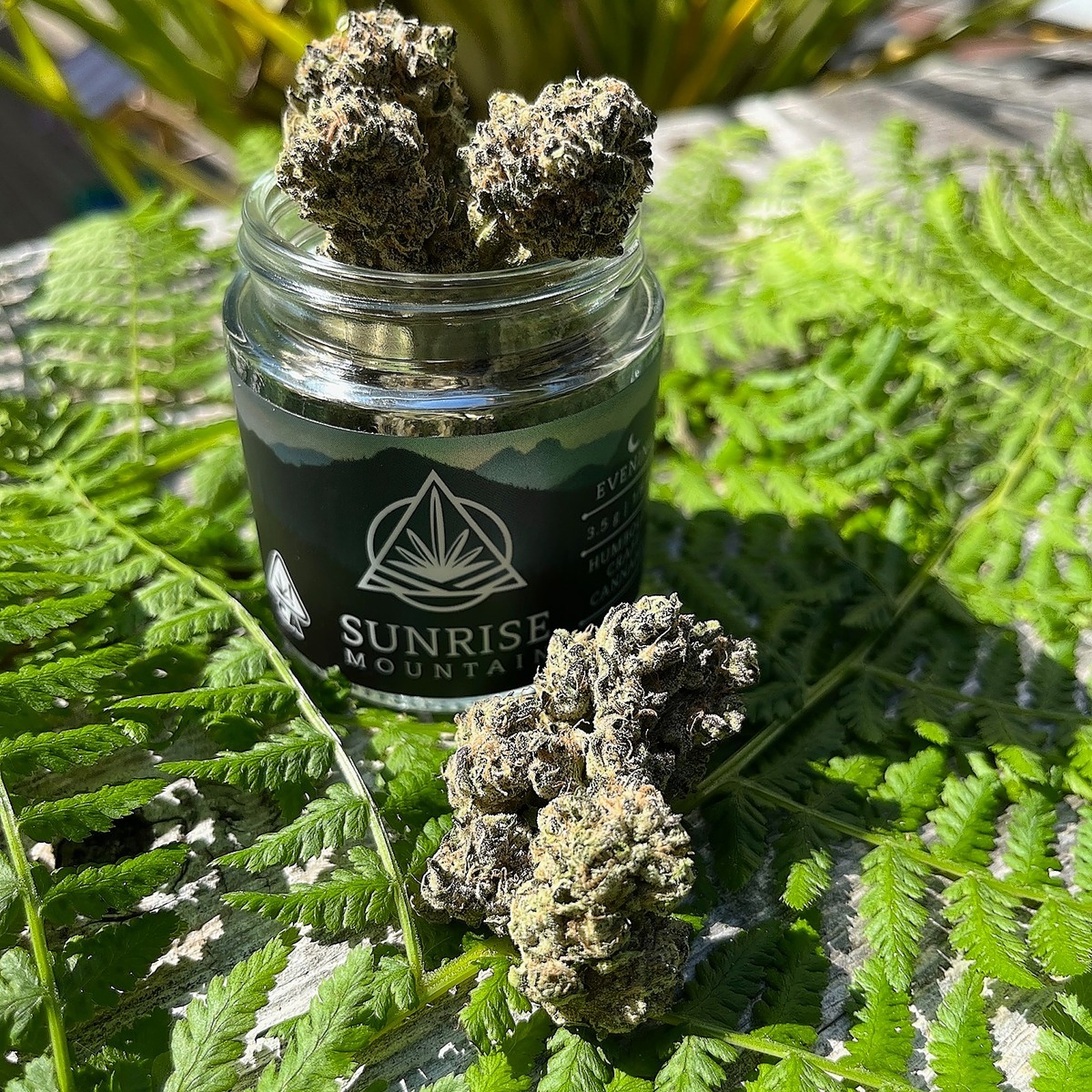 Sunrise Mountain Farms Gush Mints Private Reserve Flower 3.5g