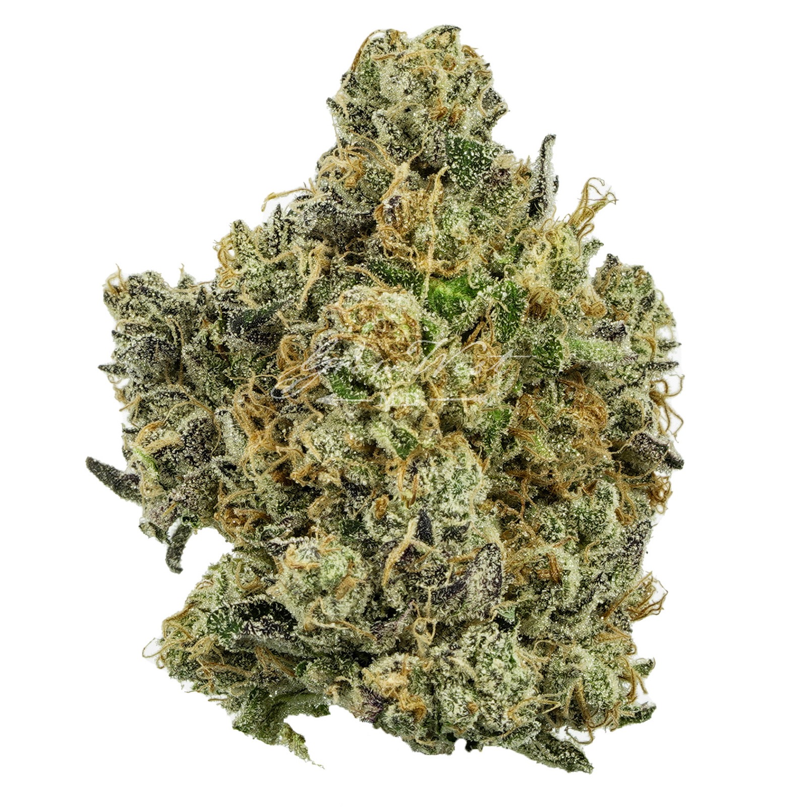 West Coast Cure: Electric Berry Bliss Premium | Leafly