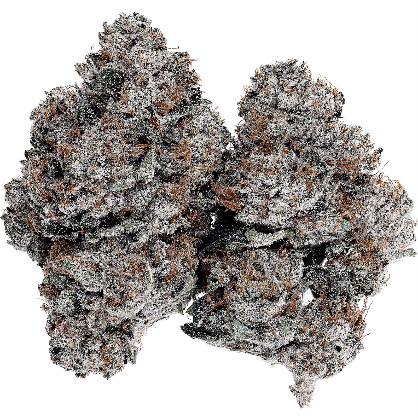 Hydrostar Sky Fuel OG Leafly