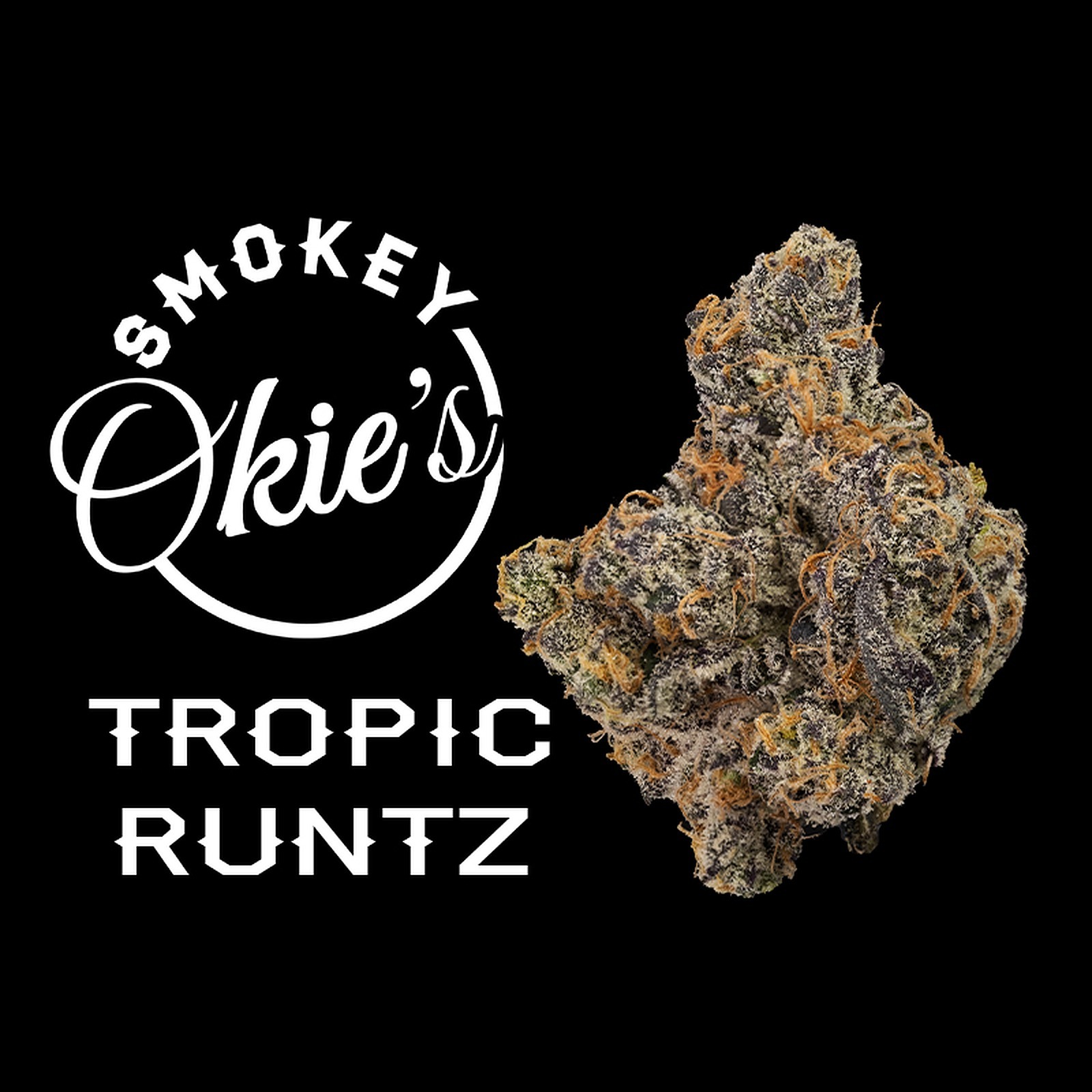 Tropical Runtz Strain Allbud - jz4w8pg