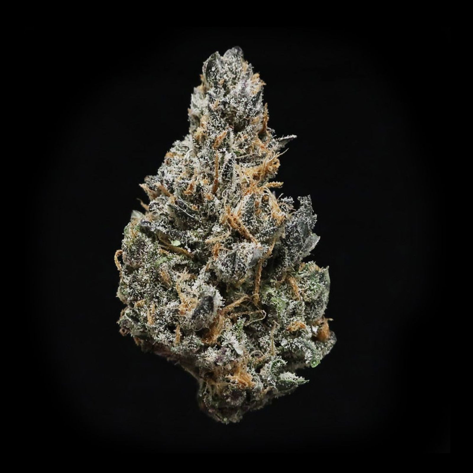 Salmon River OG Leafly