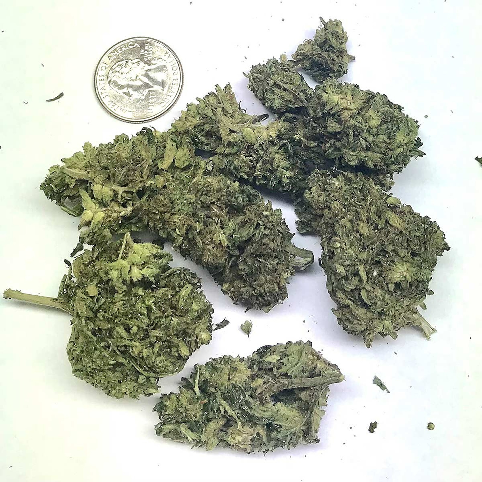 Delta 8 Pro Delta8 THC Infused Hemp Flower 3.5g Legendary OG Leafly