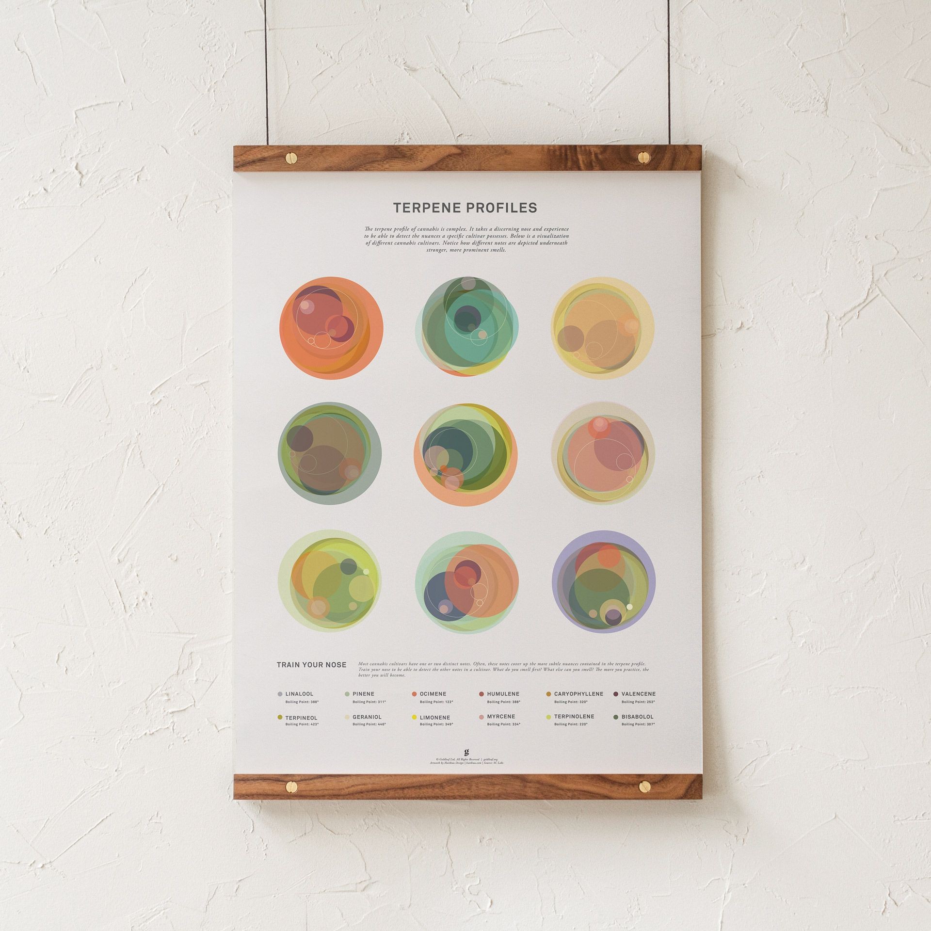 Goldleaf: Terpene Profile Illustration Poster/Print | Leafly