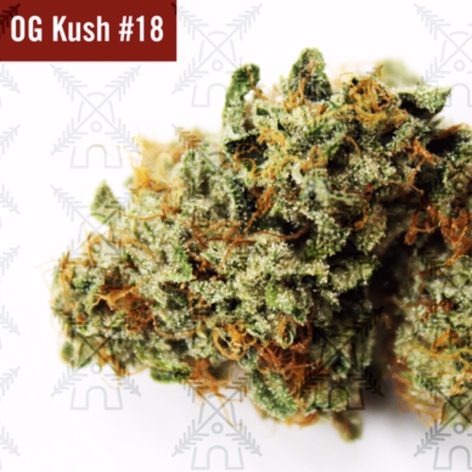 Dutch Valley Farms OG Kush 18 Leafly