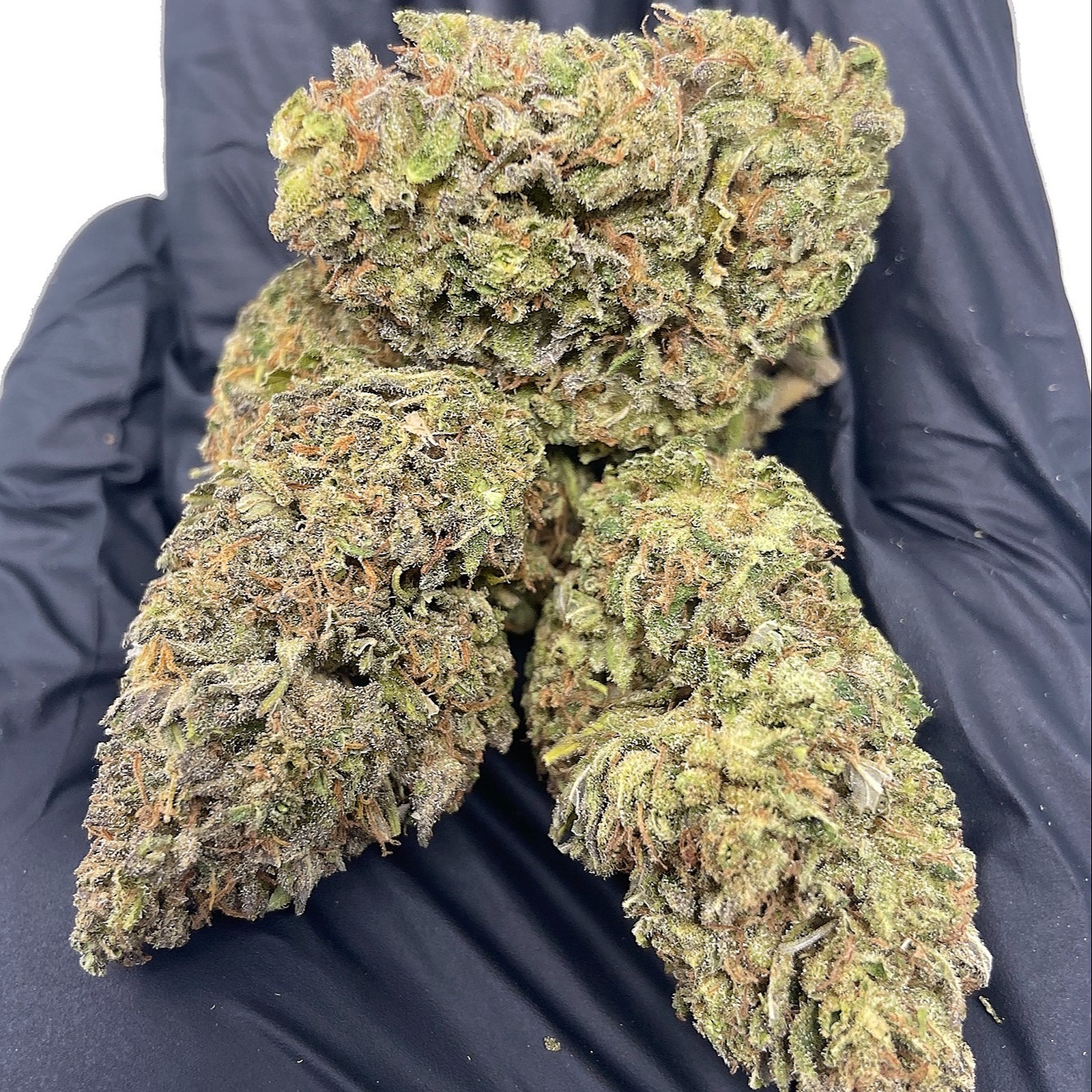 Hemp Hop Candy Jack Leafly