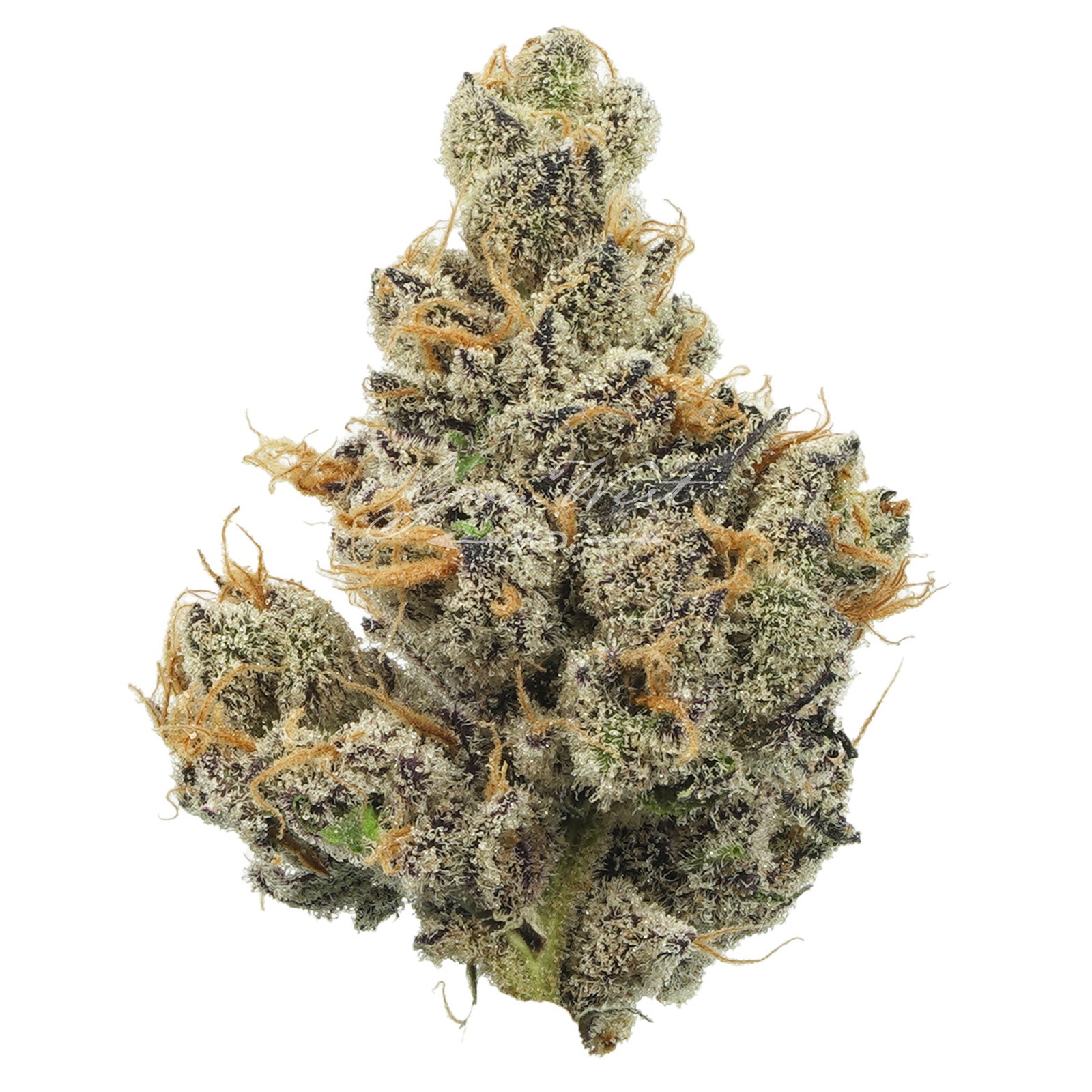 Apple Inc. visual data 8