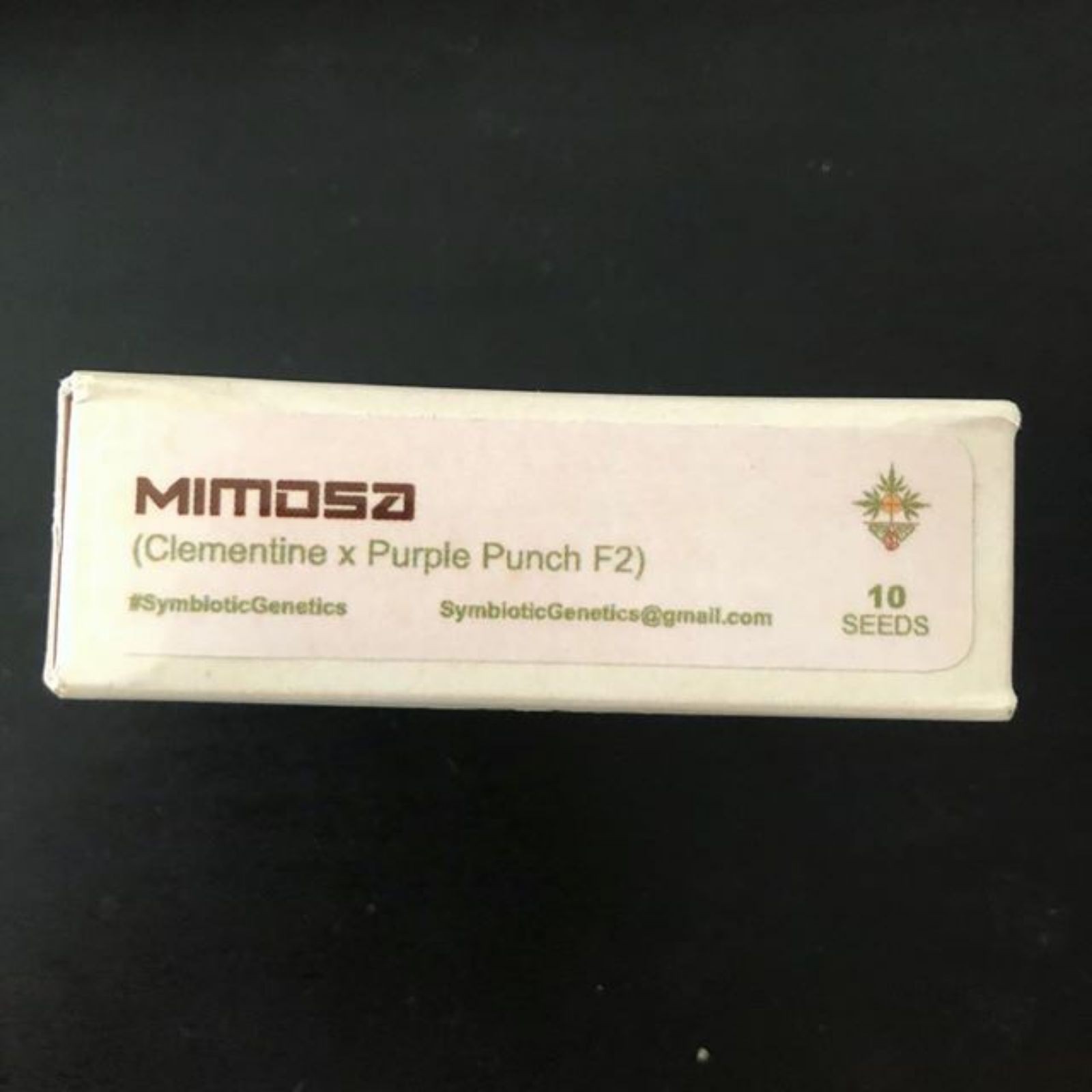 Mimosa⭐︎ Mimosa F1 Strain | 20% THC | Buy Cannabis Seeds