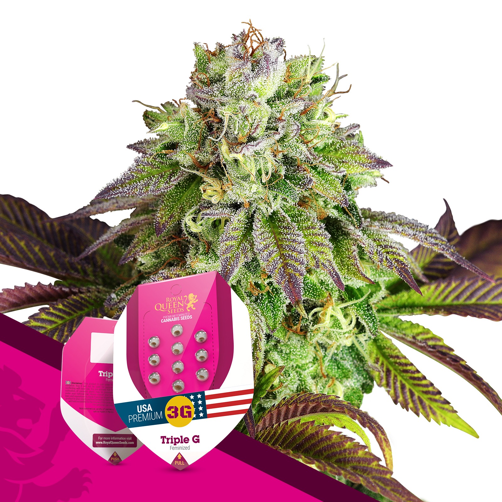 Royal Queen Seeds Triple G Leafly