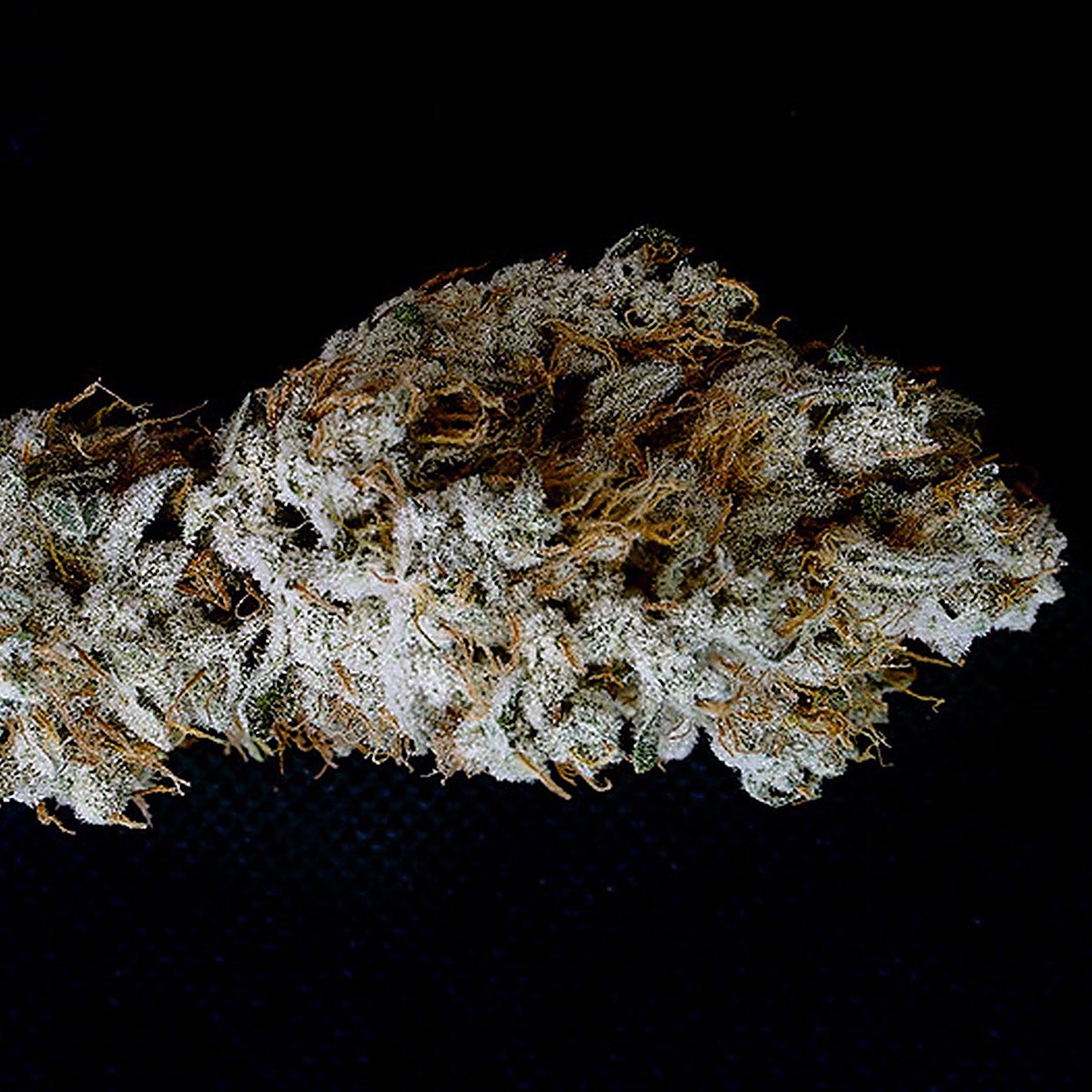 Chronicseur Farms Yettis Cookie Leafly