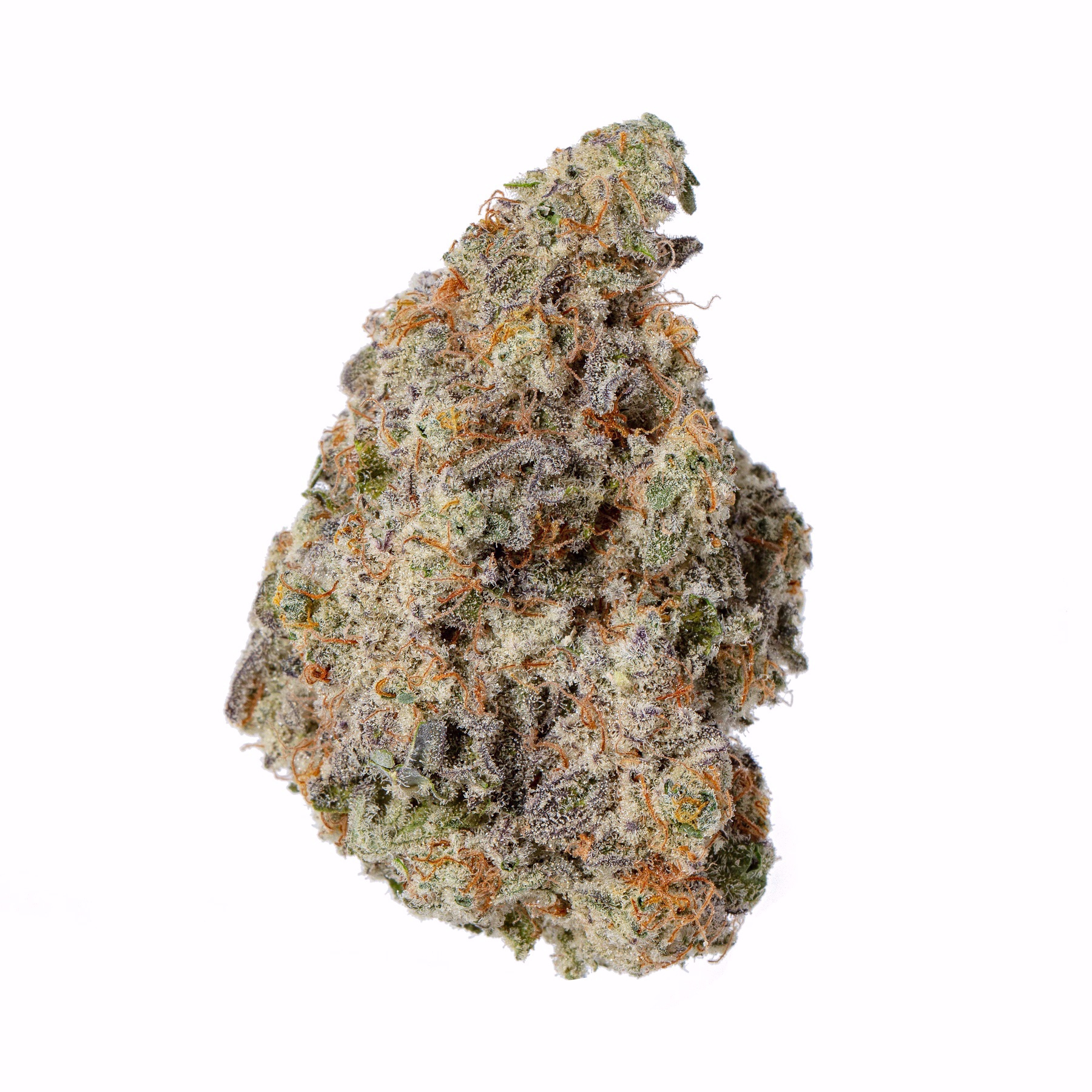 Meraki Gardens: MAC