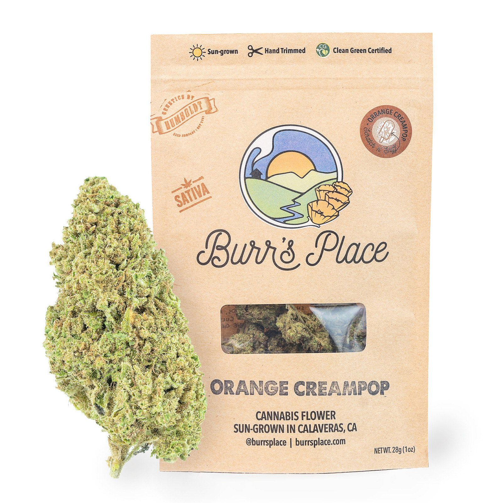 Burr's Place: Orange Creampop