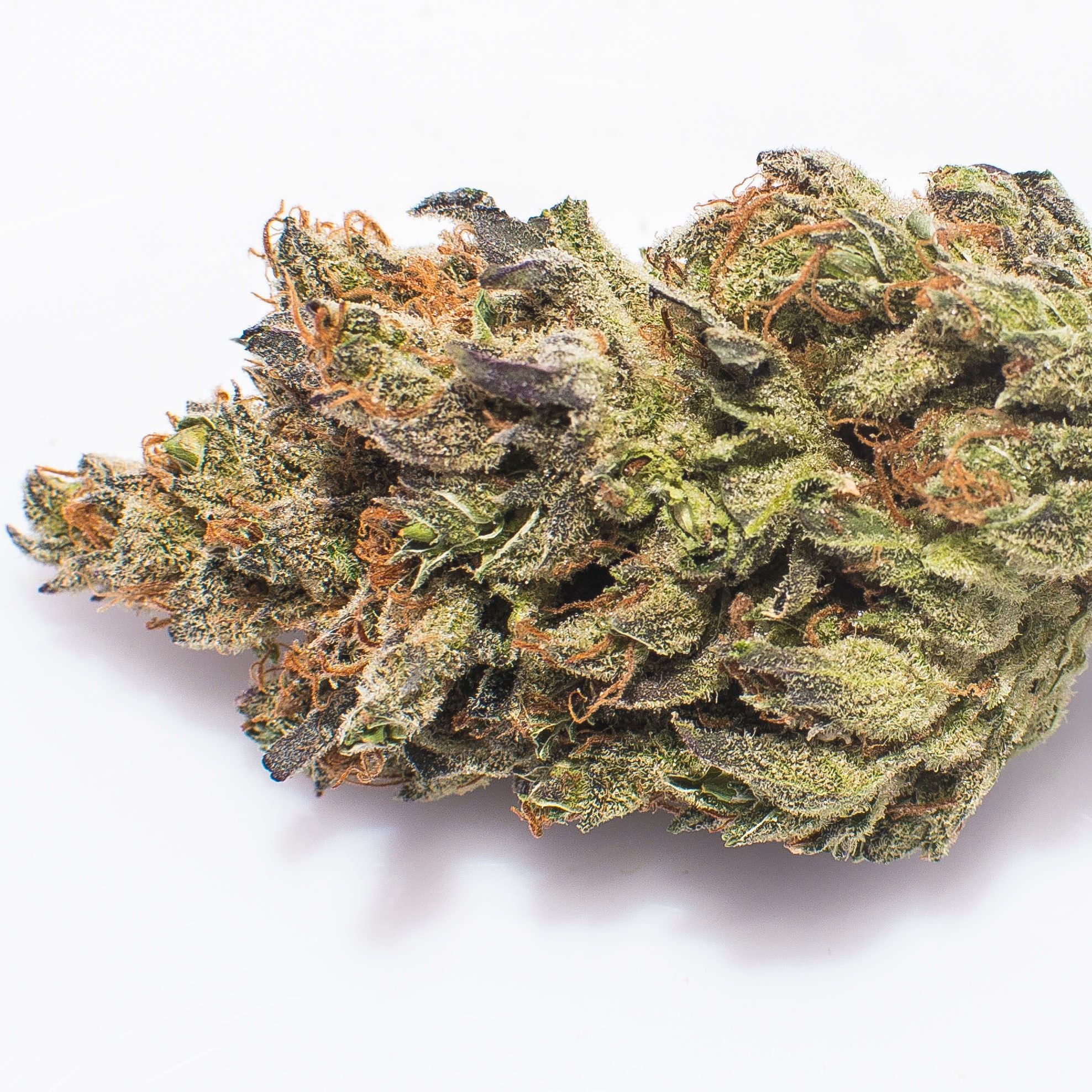 B-Witched | Leafly