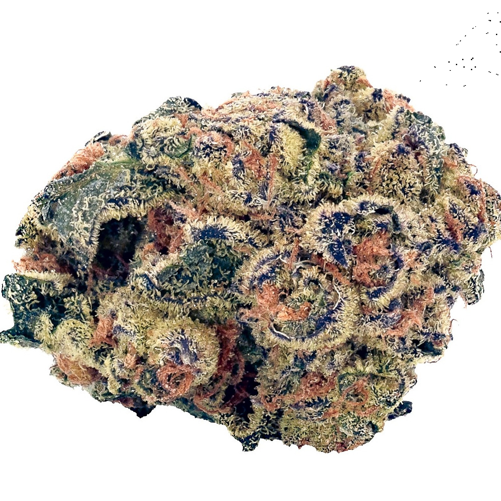 Twd.28 Twd.28 Garlic Jelly Oz. Leafly