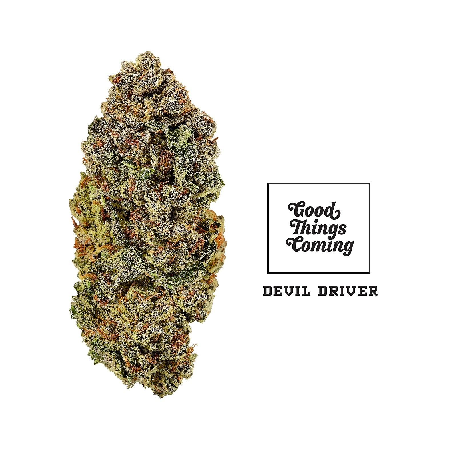 Eus/Devils Lettuce Strain Leafly.Html - 2i5h0uz