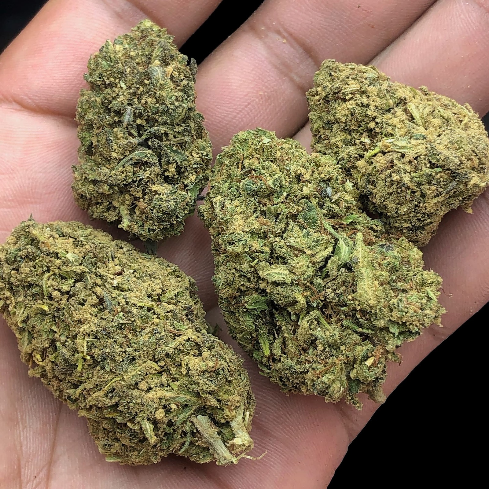 Leafy8 Brand Delta8 THC & HHC Products Delta 8 THC Flower Hawaiian