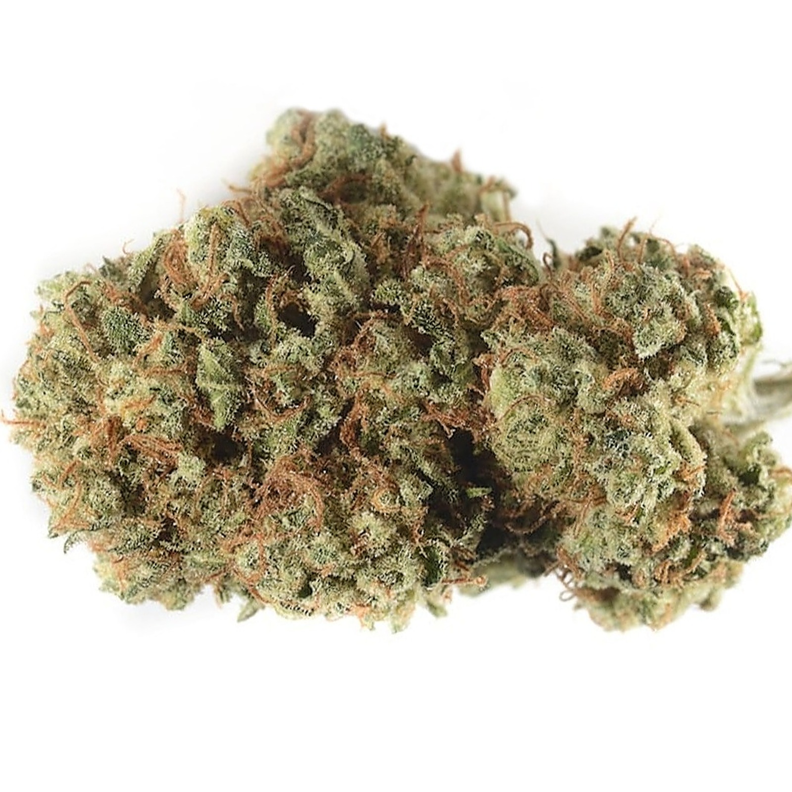 Kind Tree Cannabis Banana Daddy Leafly