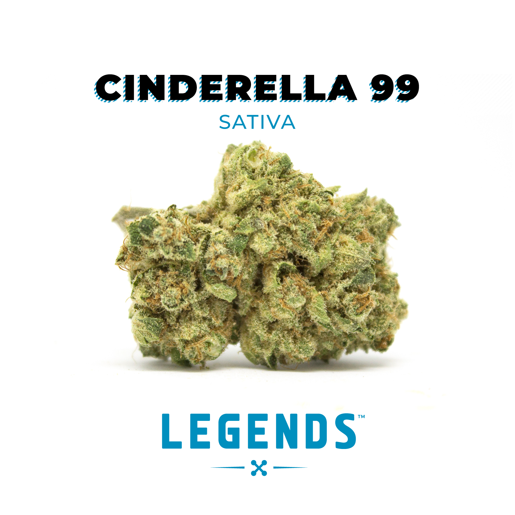 Cinderella 99