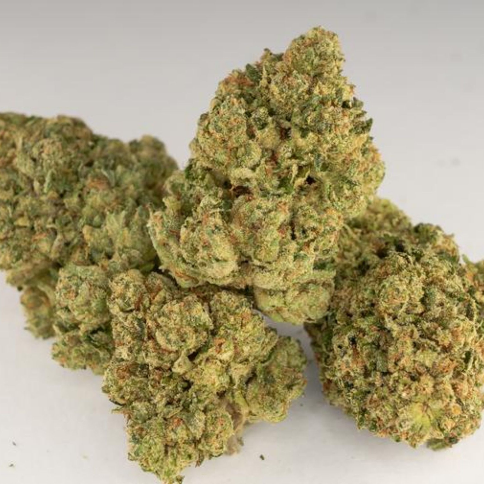 Watermelon Zonkers Strain - nbu285t