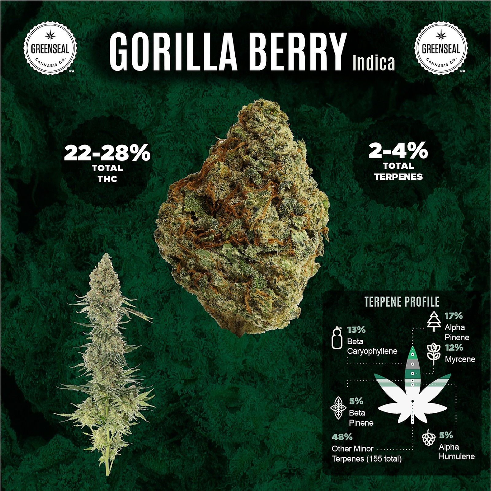Gorilla Berry Prerolls Leafly