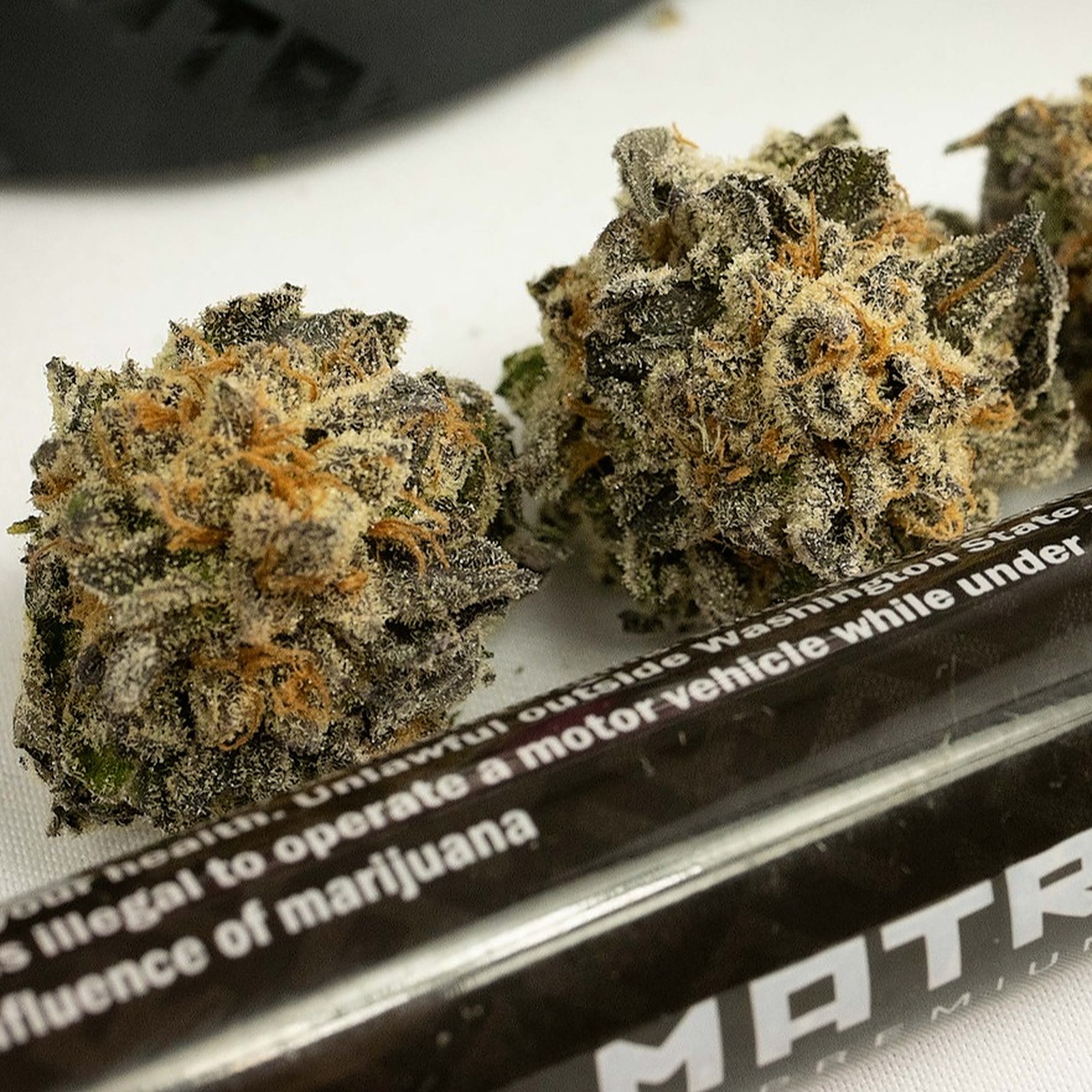 Mimosa Leafly - 7d1t1cb