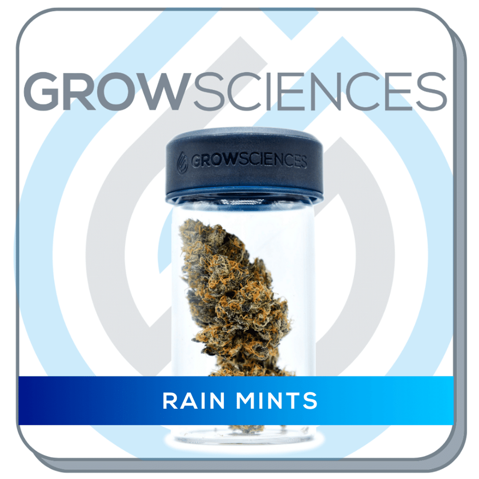 Grow Sciences Rain Mints Leafly