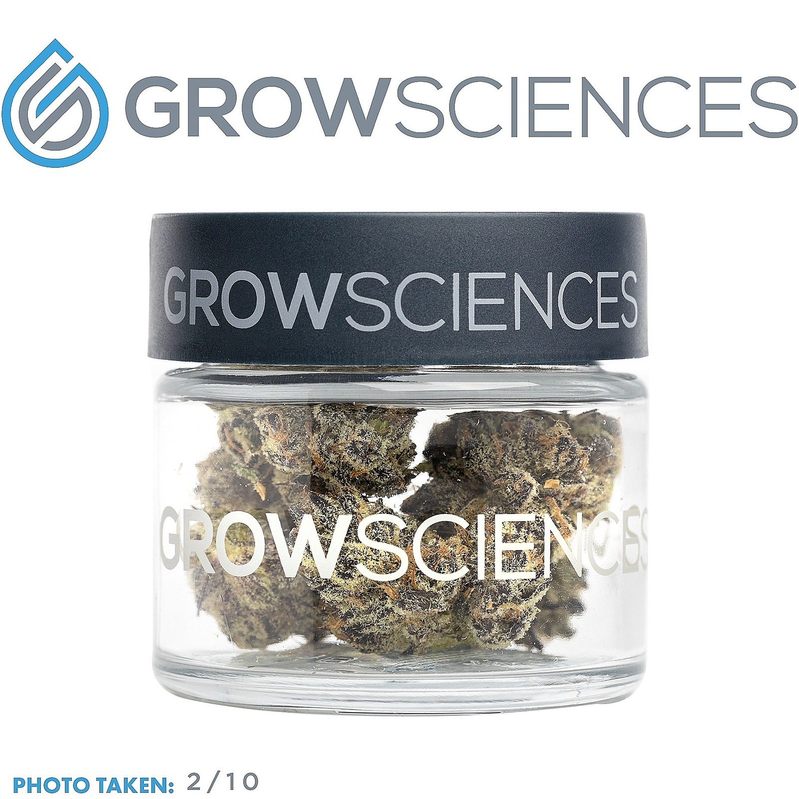 Grow Sciences White Truffle (3.7) Leafly