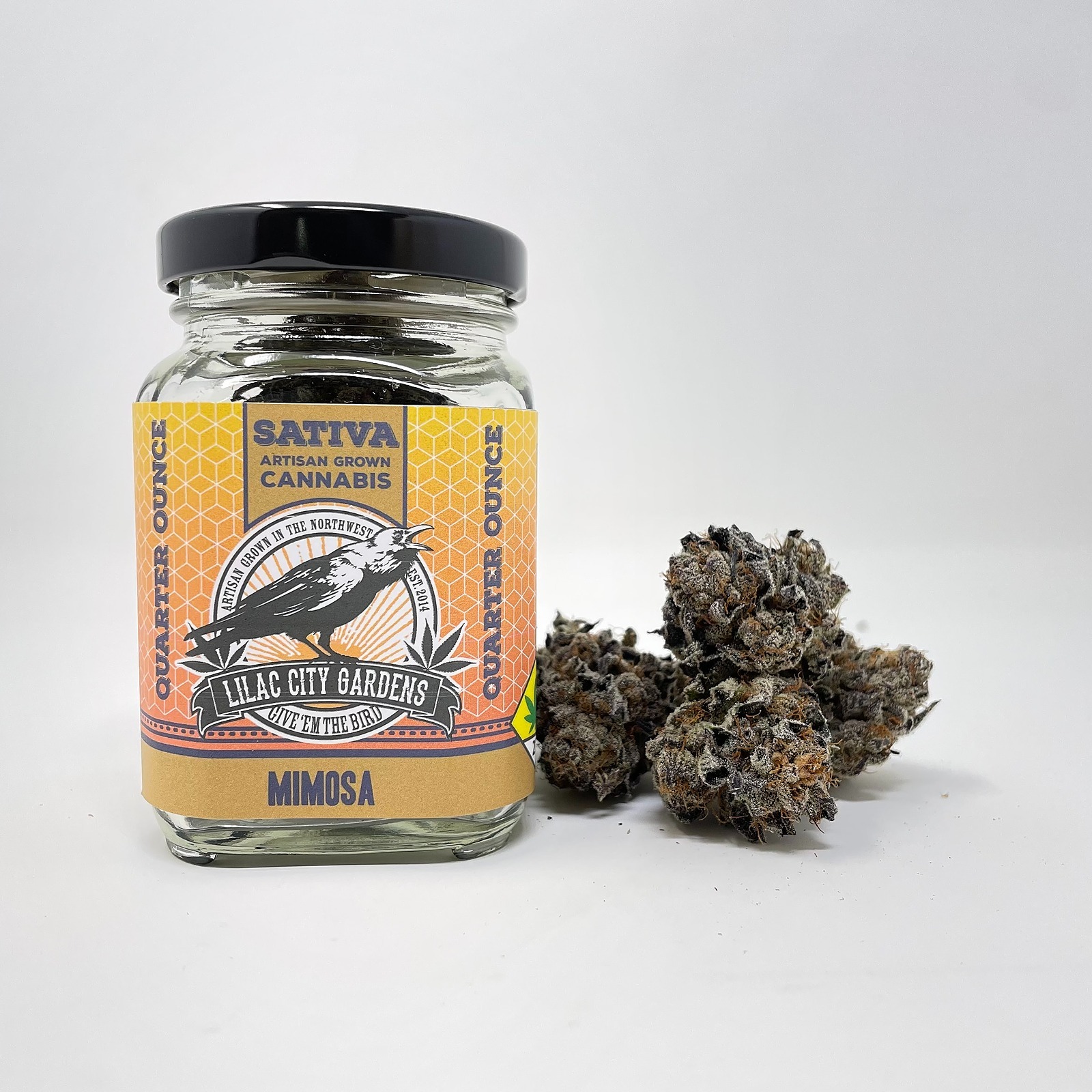 Mimosa Leafly - zda2mrr