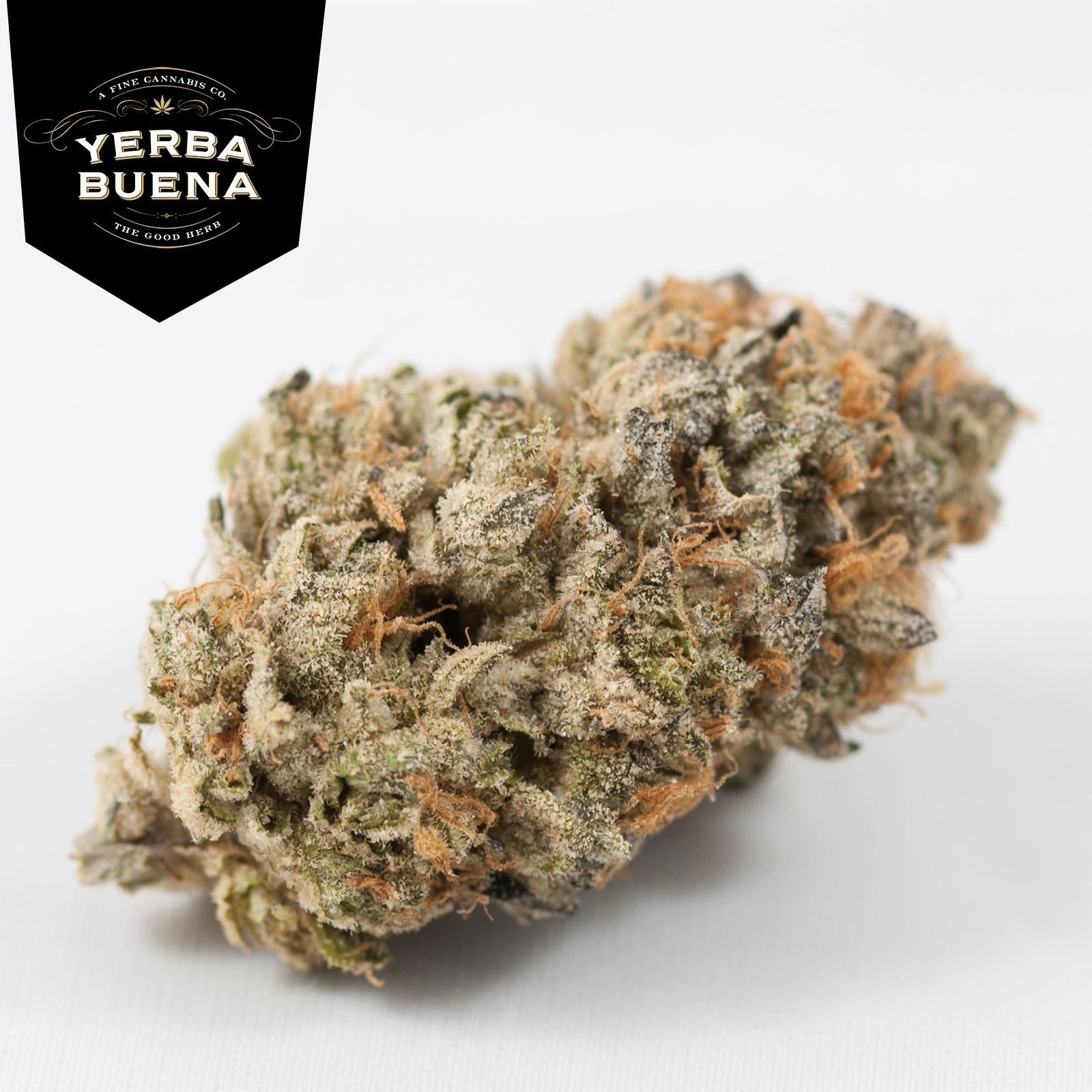 Yerba Buena Fortune Cookies Leafly