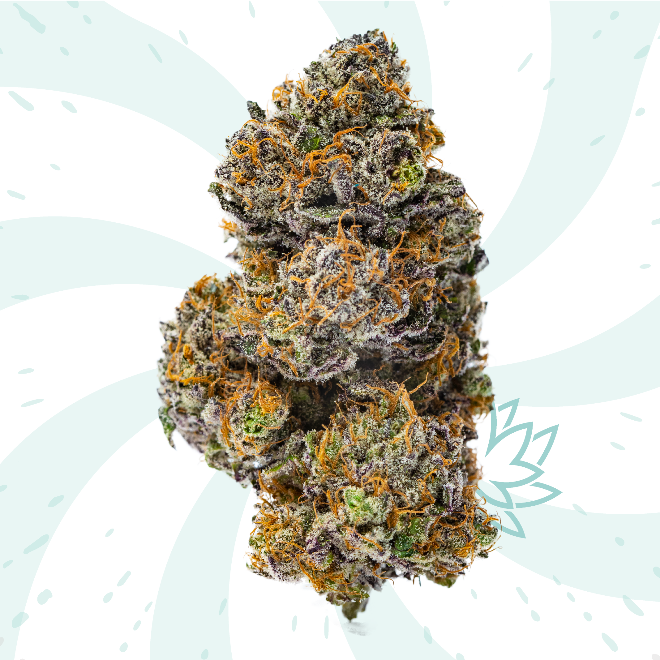Leafly Strain - biv83qe