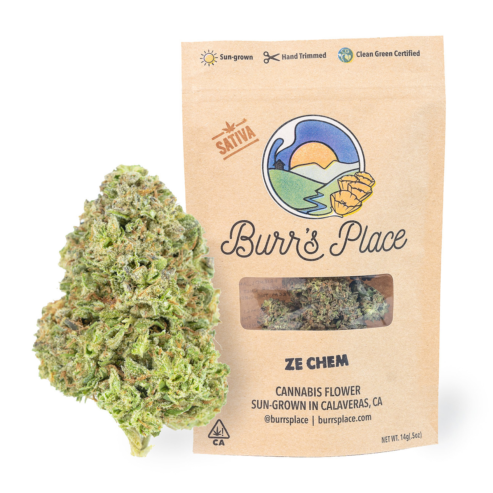 Burr's Place: Ze Chem