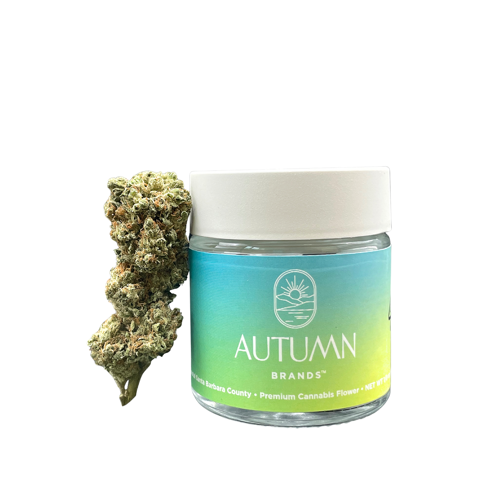 Autumn Brands: Mango Haze