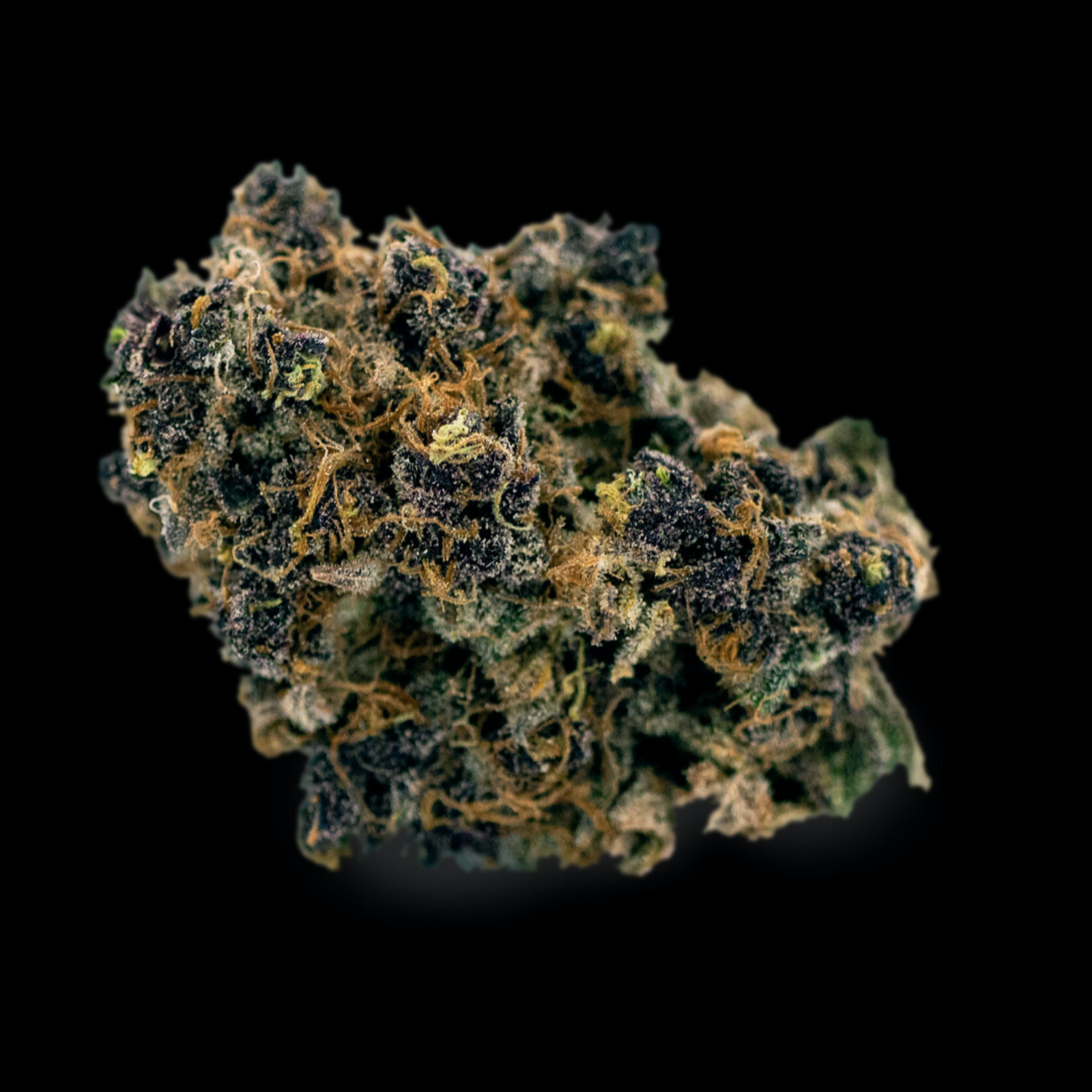 RGB Cannabis: RGB Red - 72 Volt [3.5g Flower] | Leafly