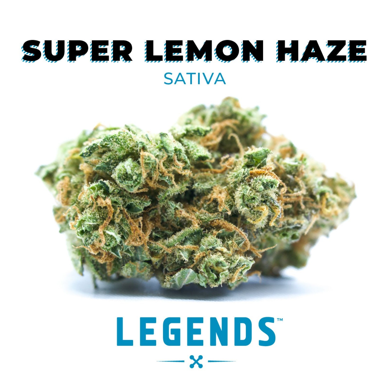 Super Lemon Haze Takes 2nd Place Sativa High At Times Cannabis Cup — The  Village