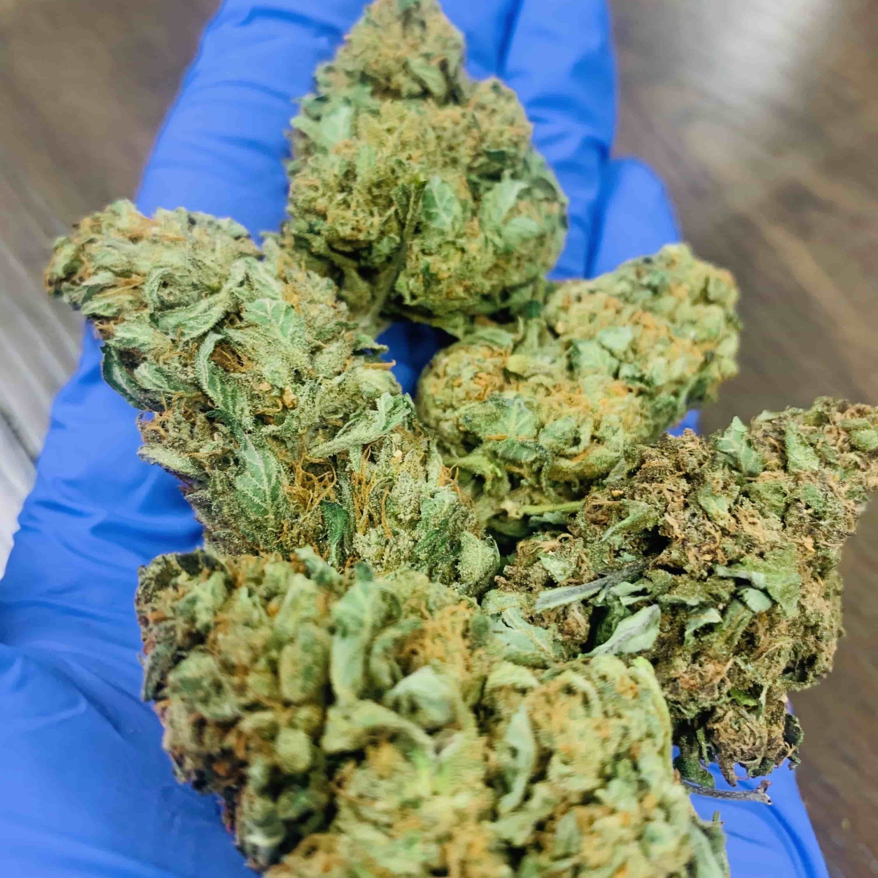 Industrial Hemp Farms Tokyo Premium Indoor CBD Hemp Flower Leafly