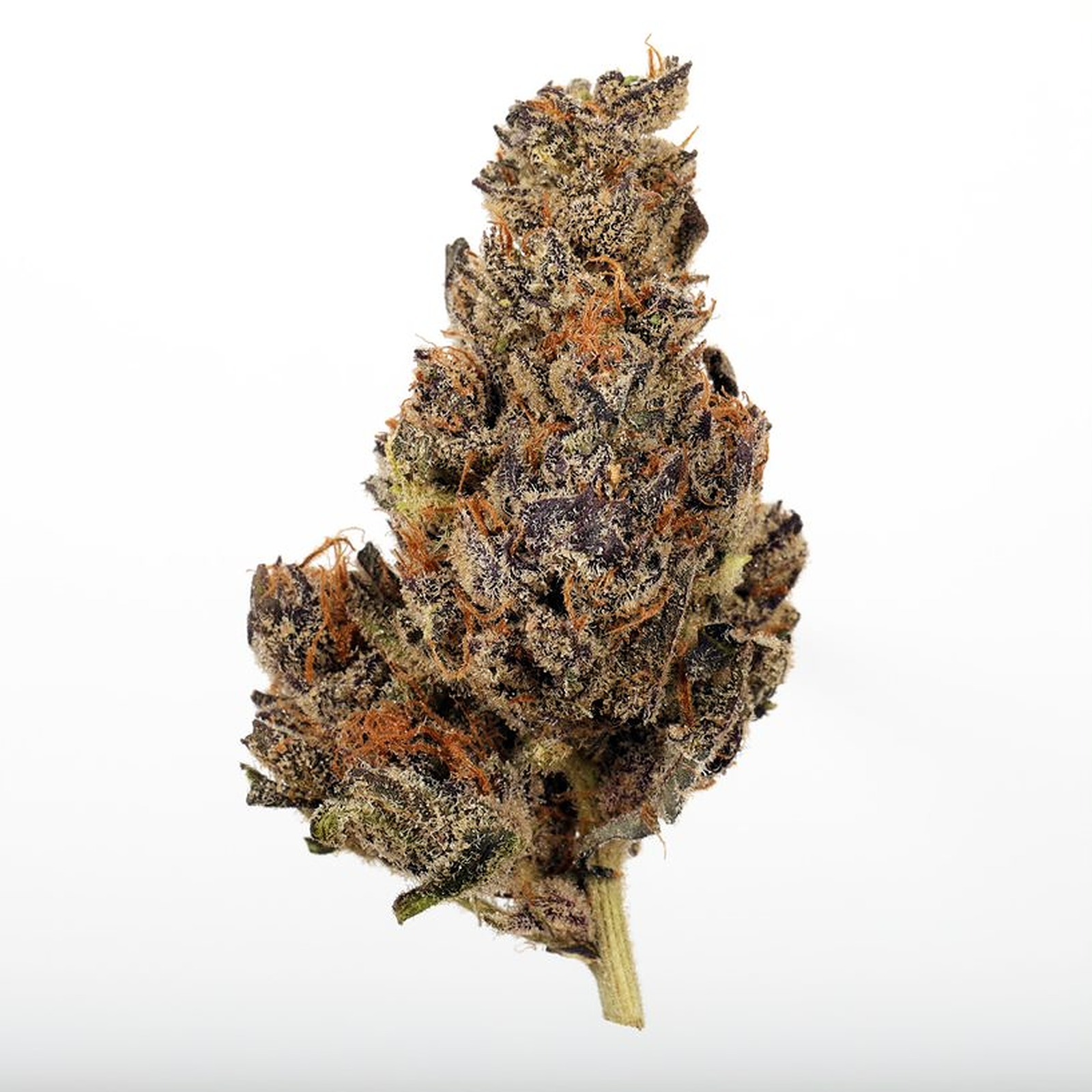 Seed & Smith Sherbet Creamsicle 1g Leafly