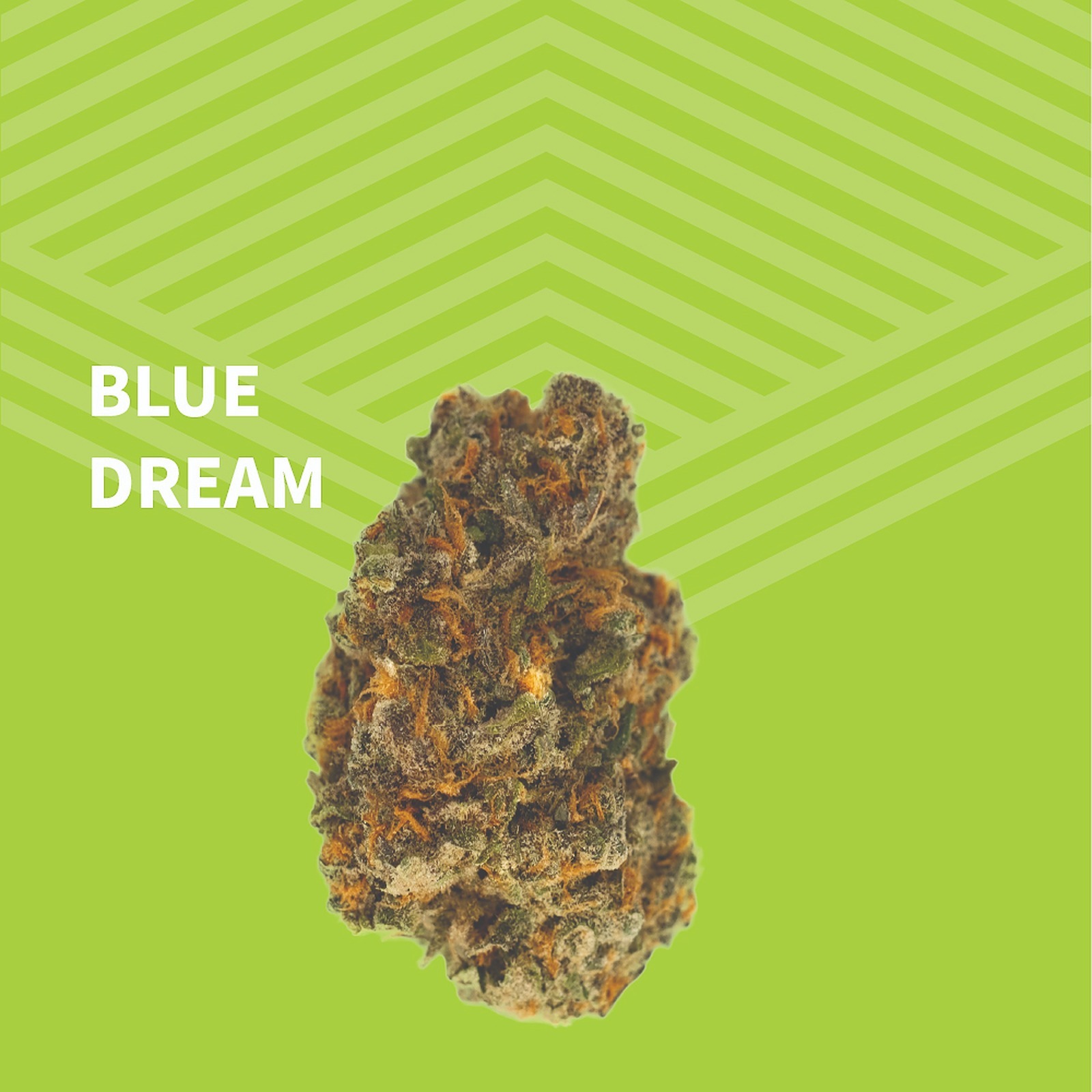 Pure Dakota: Blue Dream | Leafly