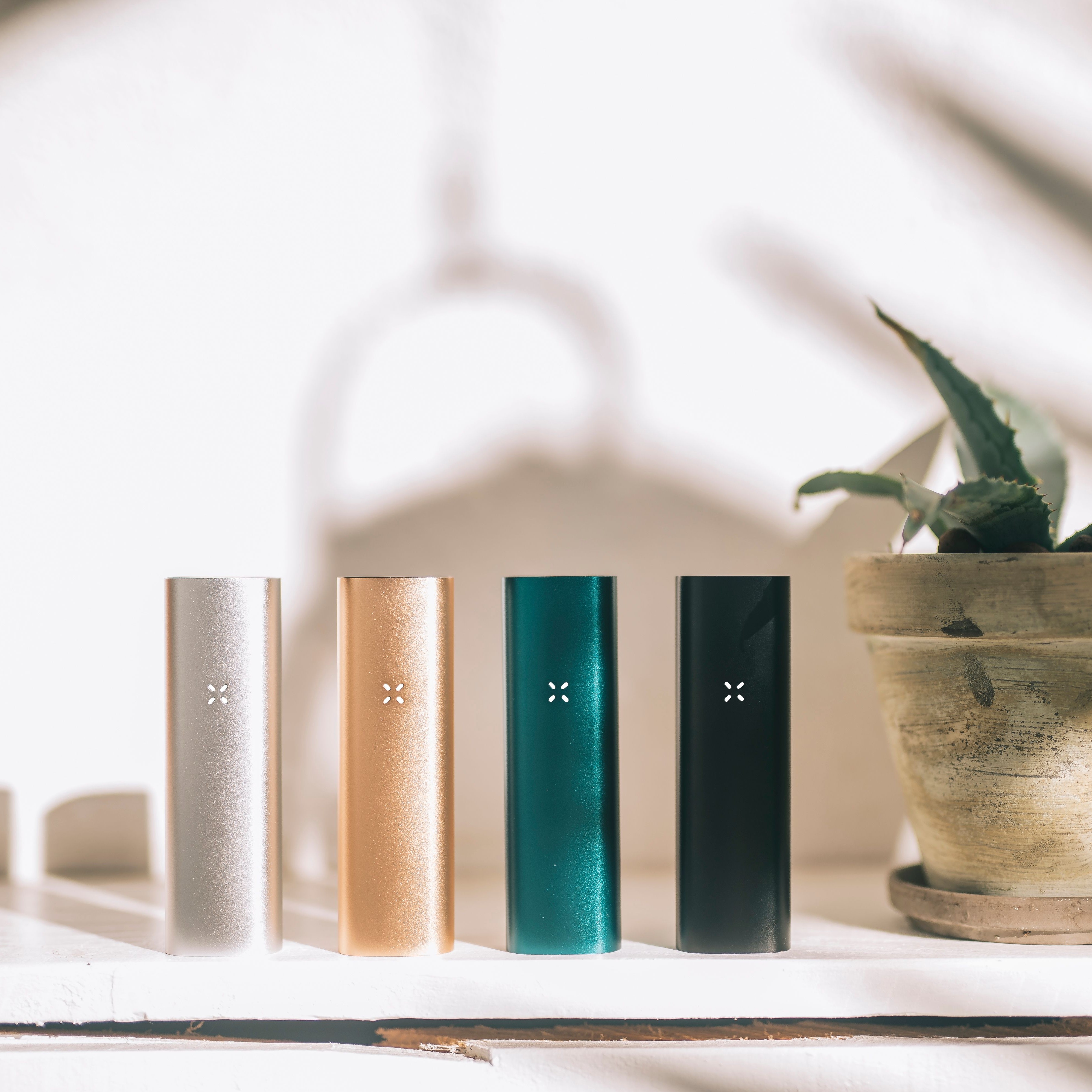 apple cinnamon raz vape Buy Pax Mini 2
