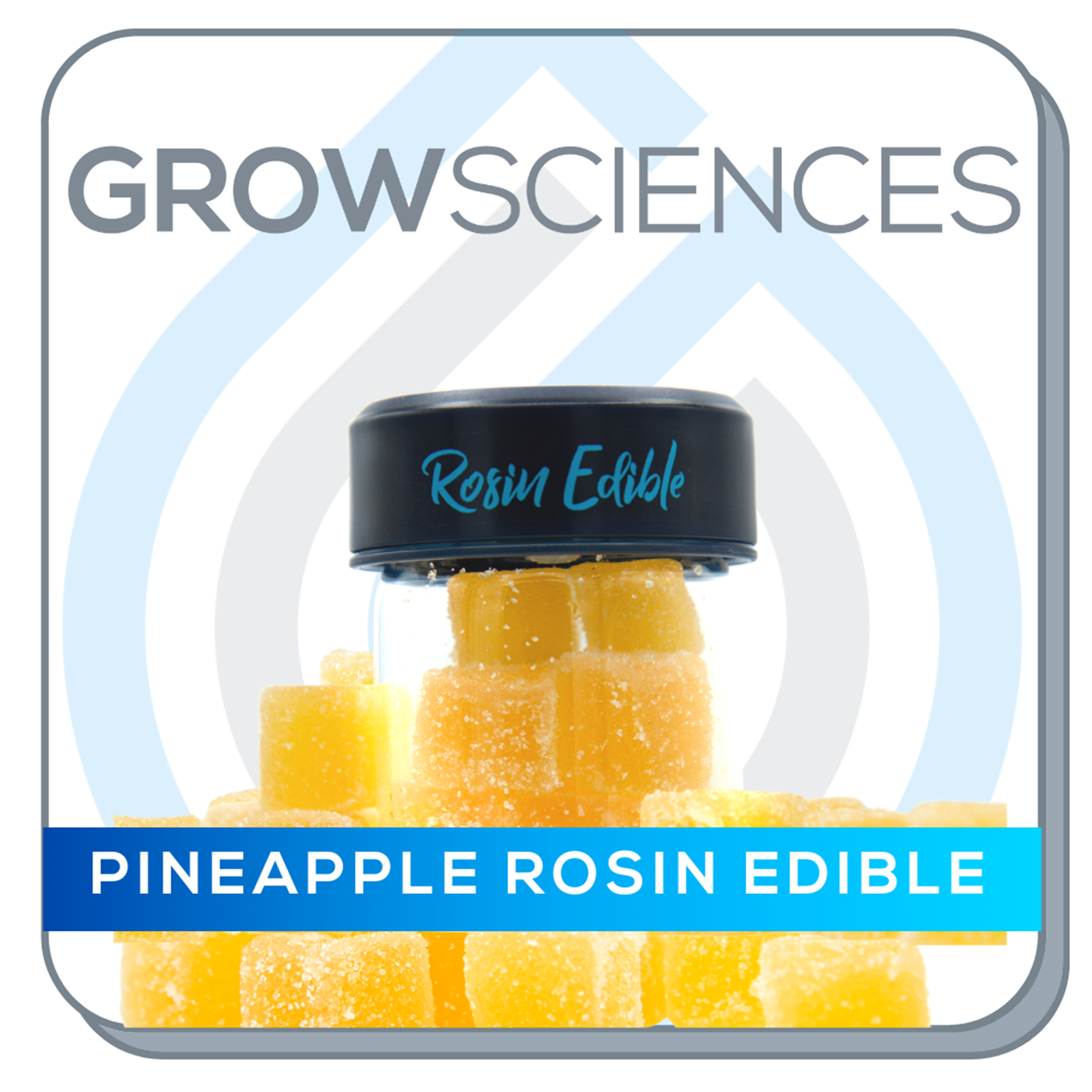 Grow Sciences Pineapple Rosin Edible (100mg) Leafly