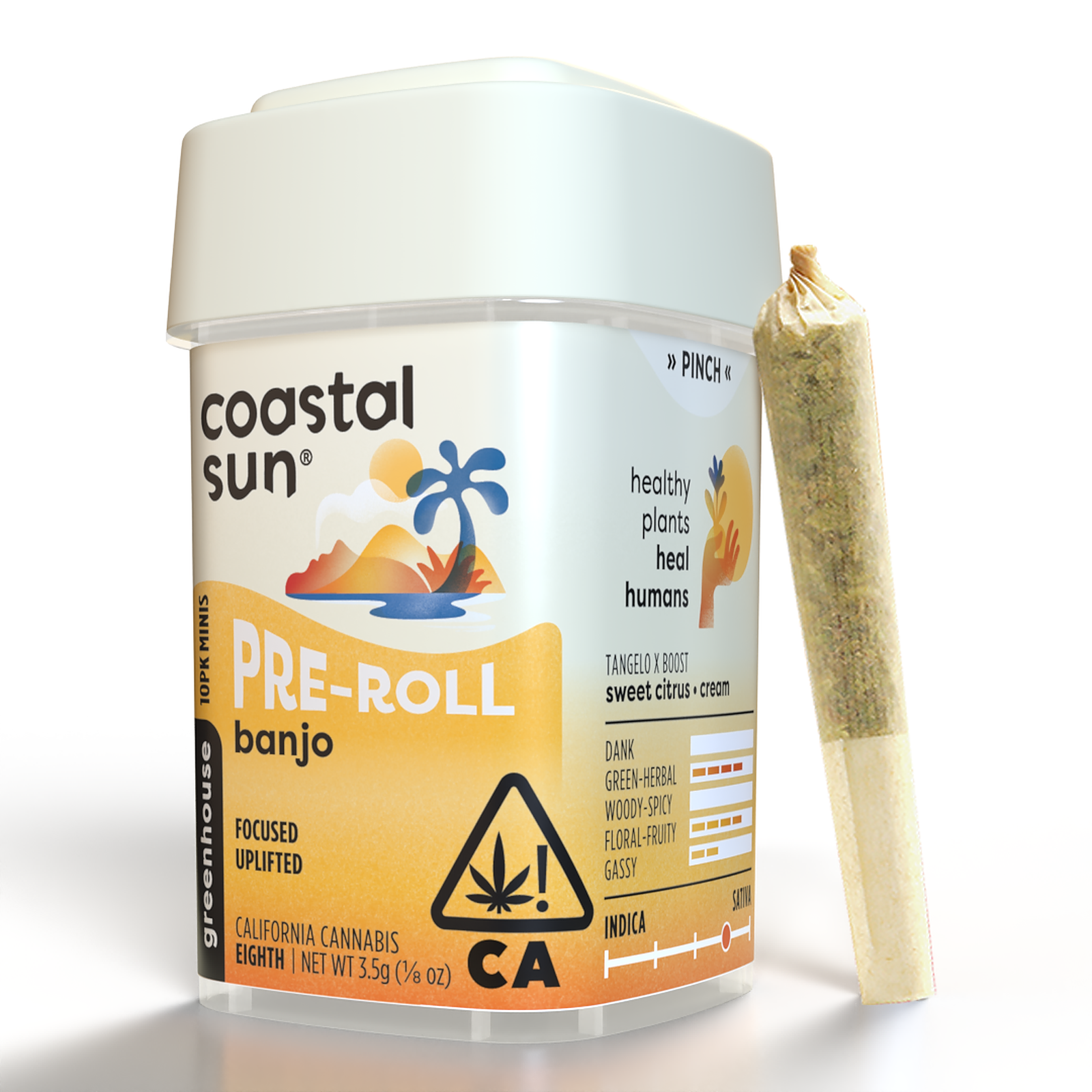 Coastal Sun Farm: Banjo