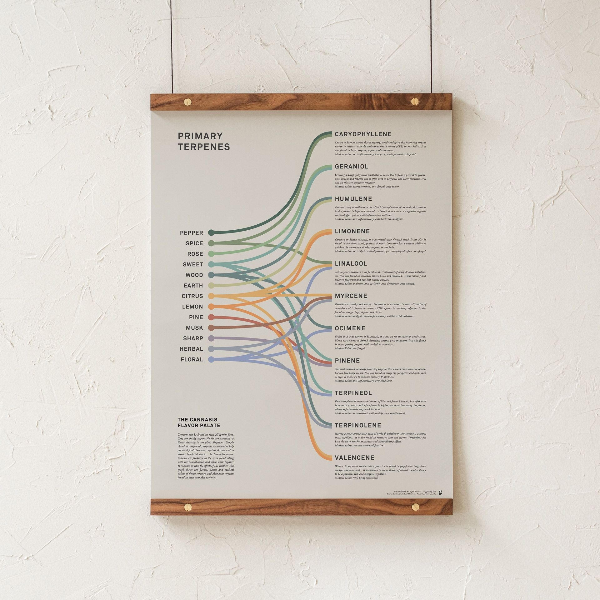 Goldleaf Terpene Chart, Cannabis Flavor Infographic Print / Poster