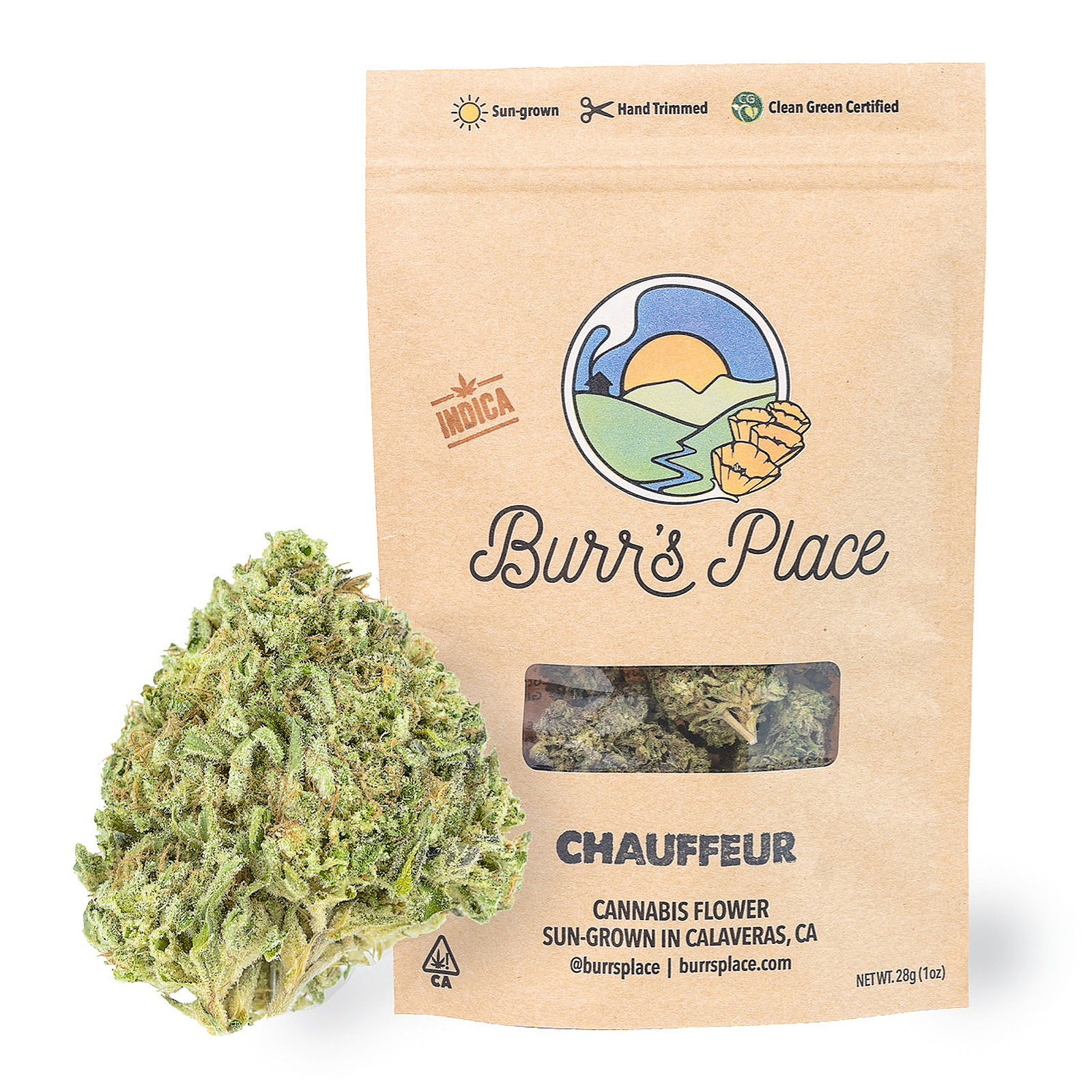 Burr's Place — Chauffeur