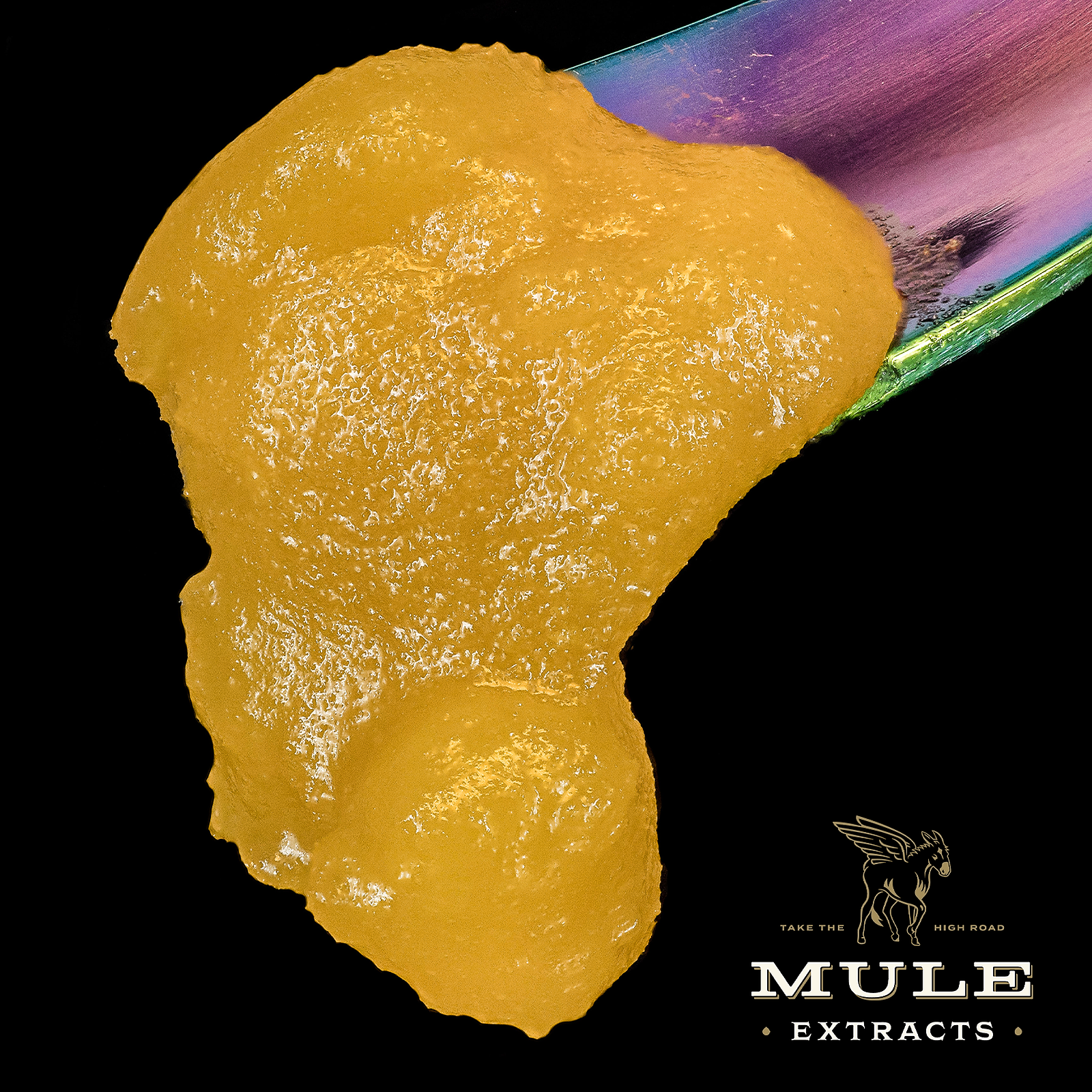 Mule Extracts: Pineapple Thai