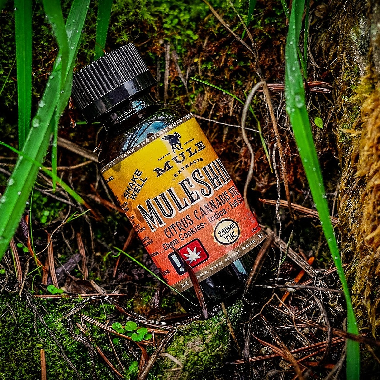 Mule Extracts 250mg Citrus Muleshine Indica Leafly