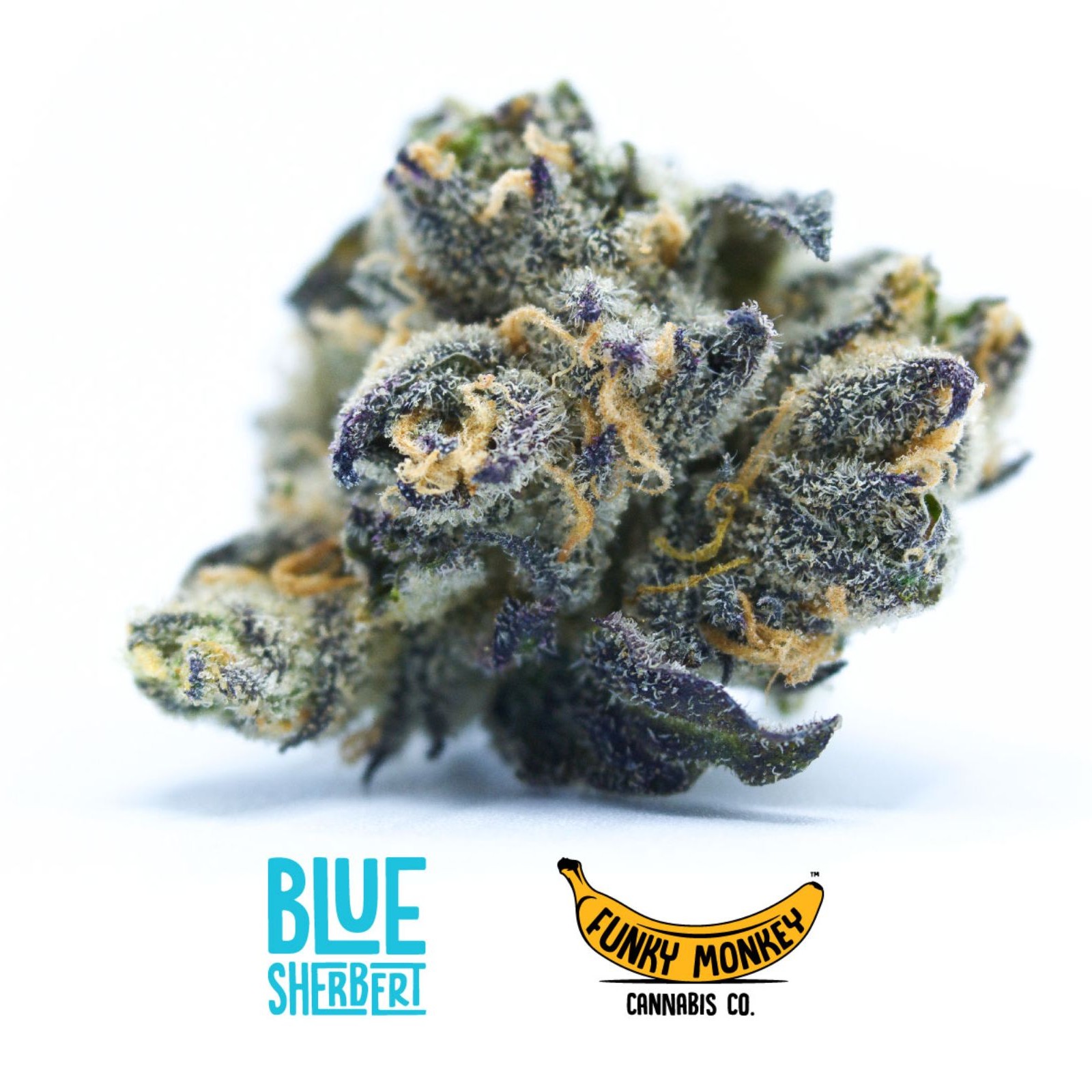 Funky Monkey Cannabis Co Blue Sherbert Leafly