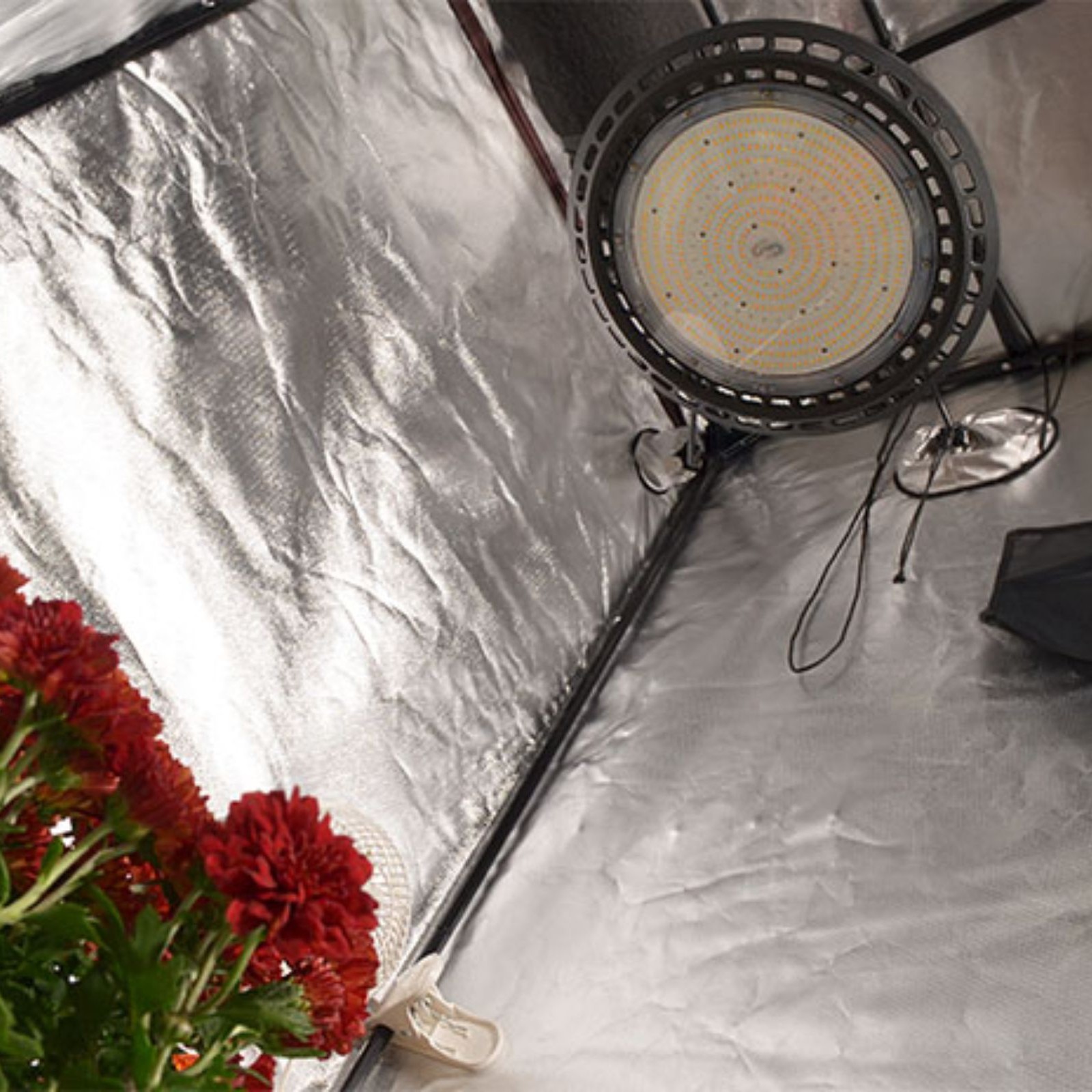 How To Handle Excessive Grow Tent Heat - Hydrobuilder Learning Center