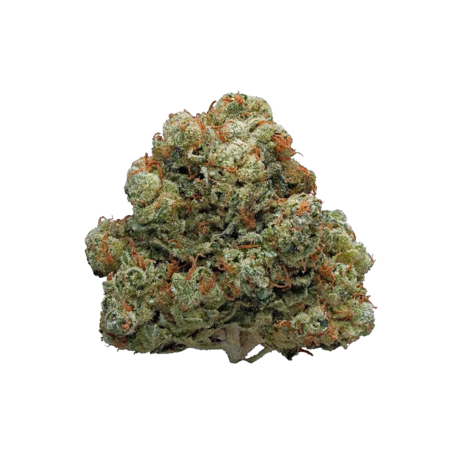 Simply Crafted: Hollywood THCa Flower | Leafly